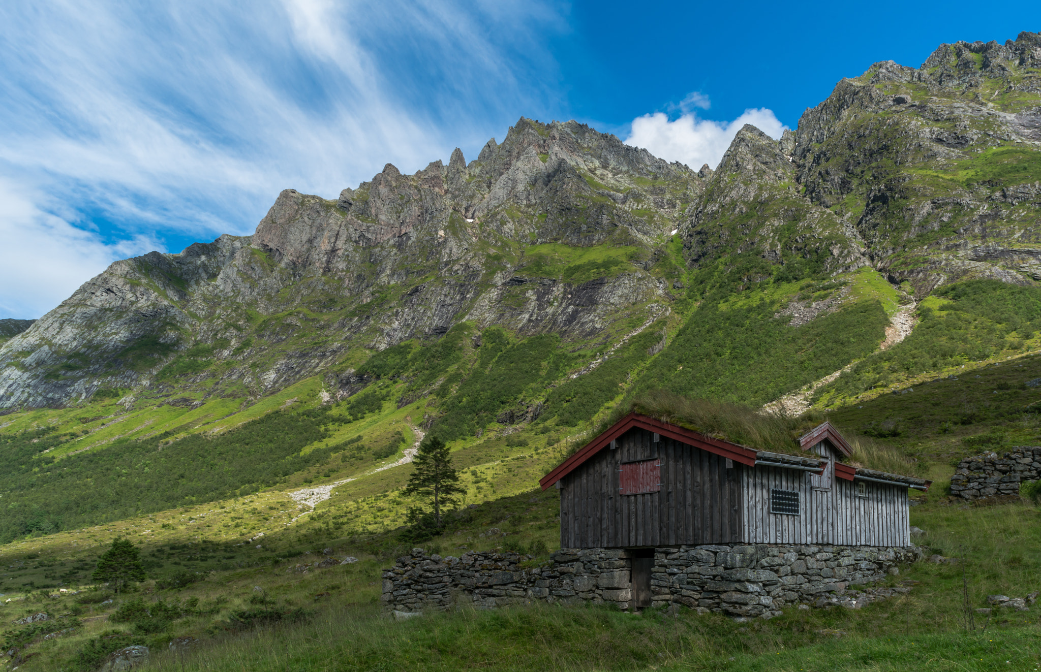 Sony a7R II + Canon TS-E 24mm f/3.5L sample photo. Green mountains photography