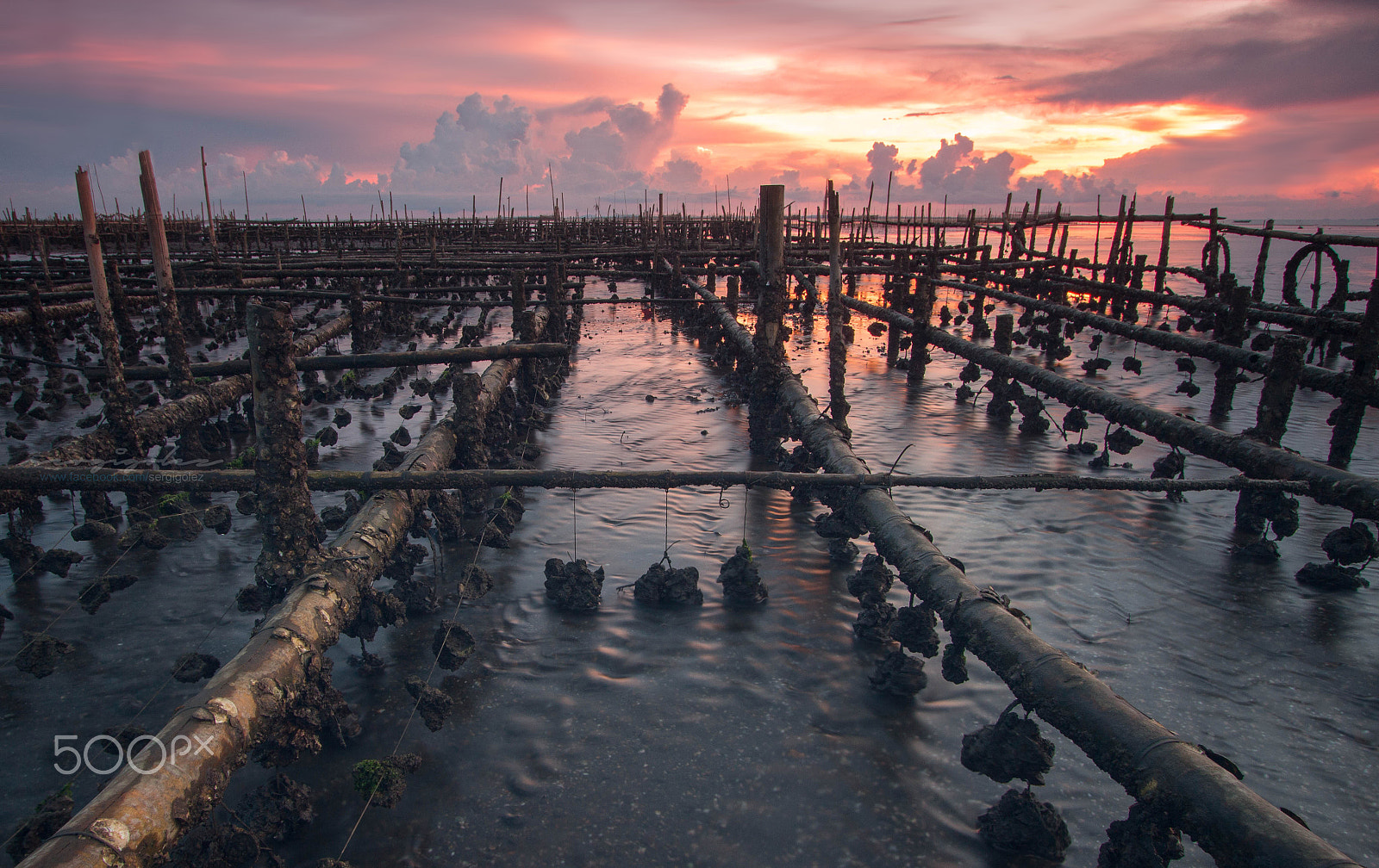Canon EF-S 10-22mm F3.5-4.5 USM sample photo. Balaring oyster farm 3 photography