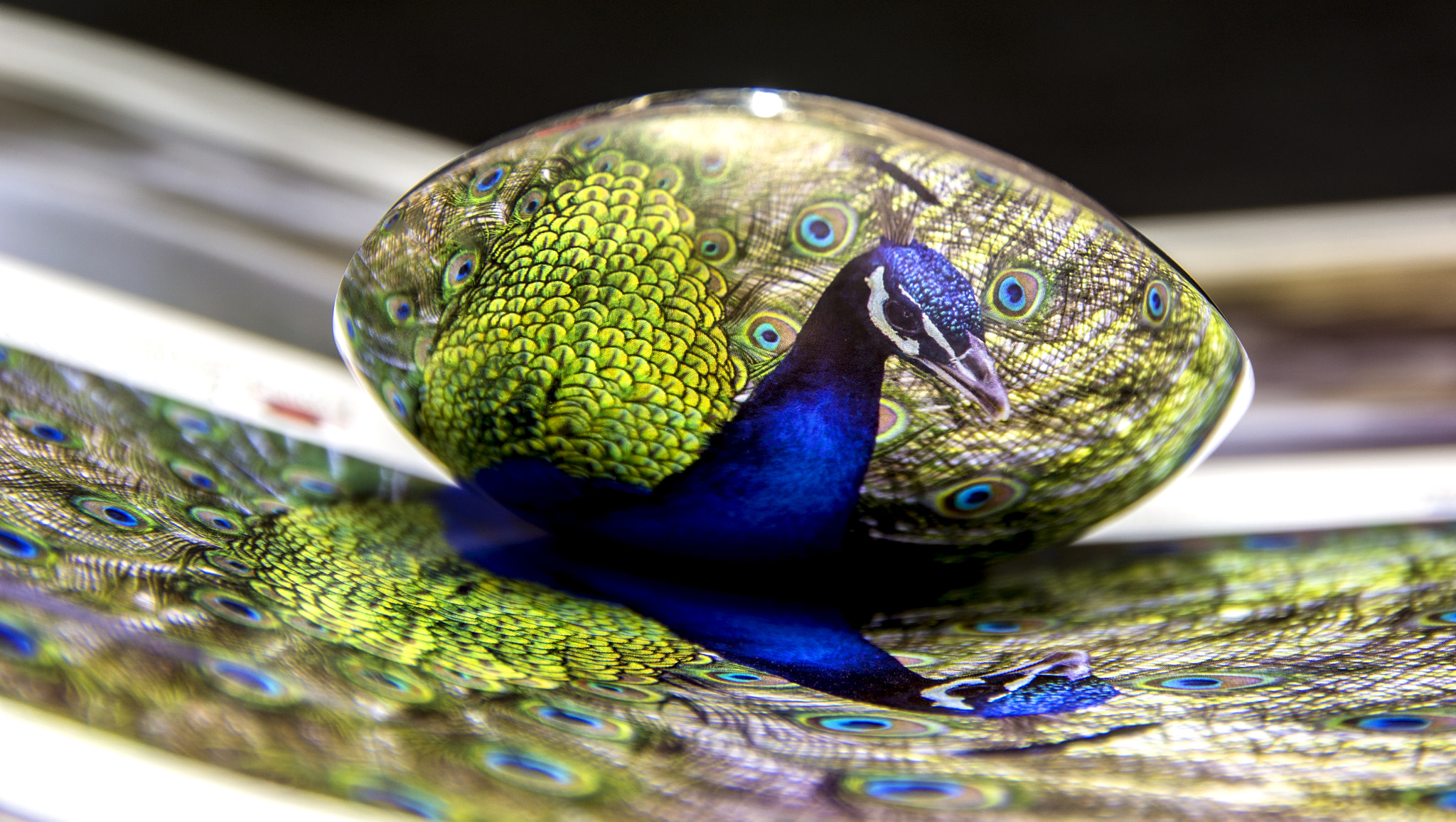 reflected from the spoon pictures