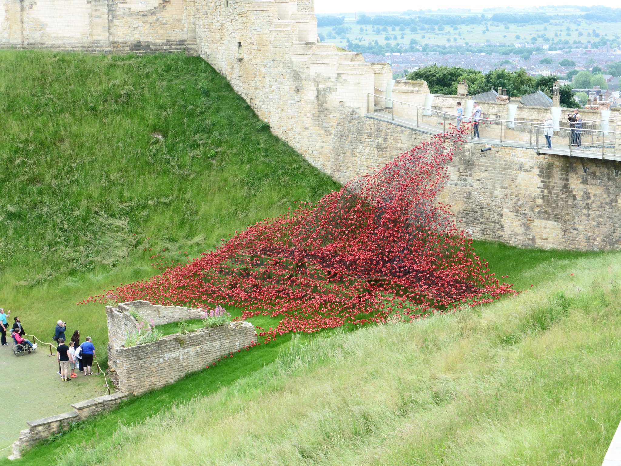 Panasonic DMC-TZ55 sample photo. Wave of poppies lincoln castle. photography