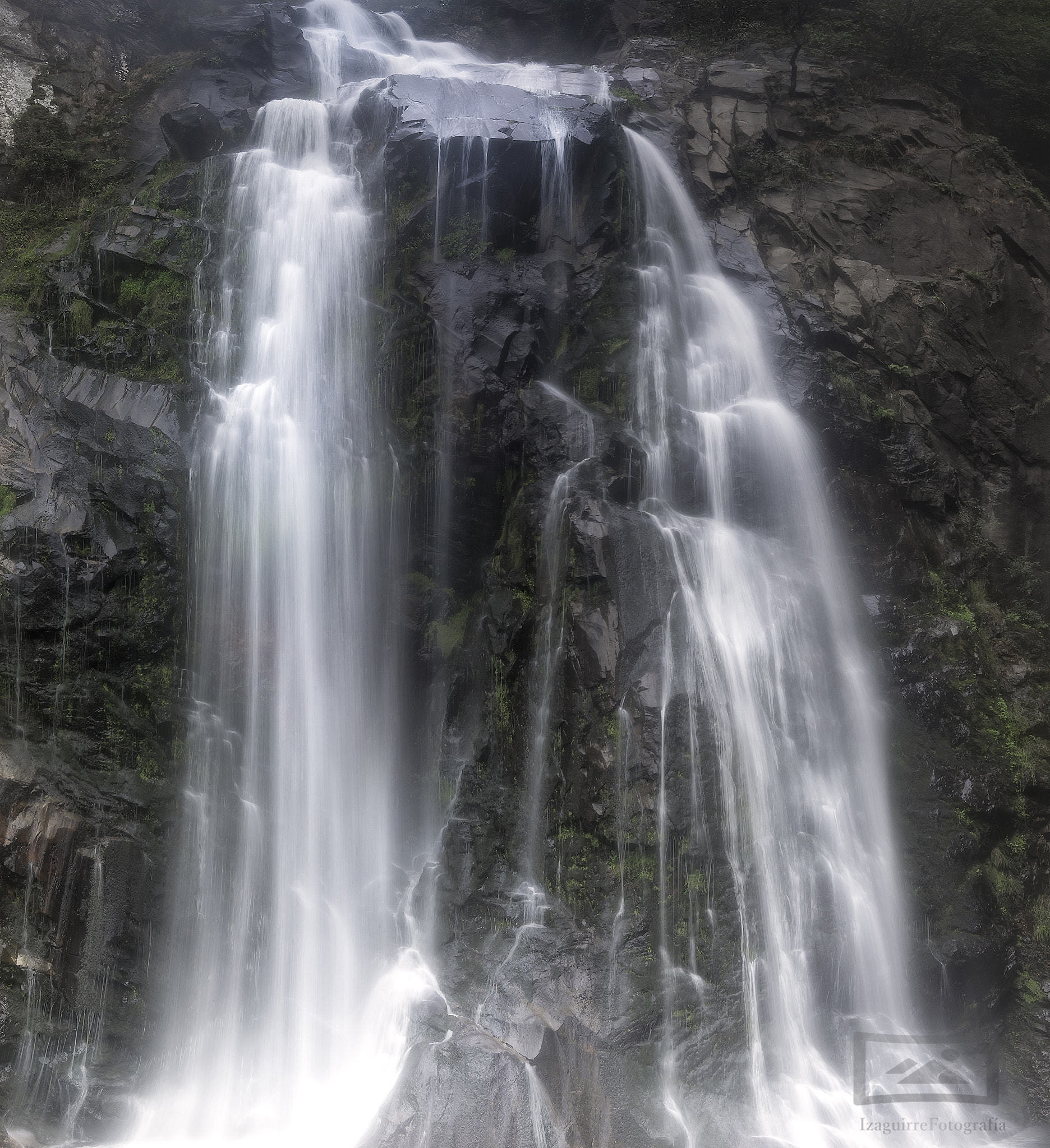 Tokina AT-X 16-28mm F2.8 Pro FX sample photo