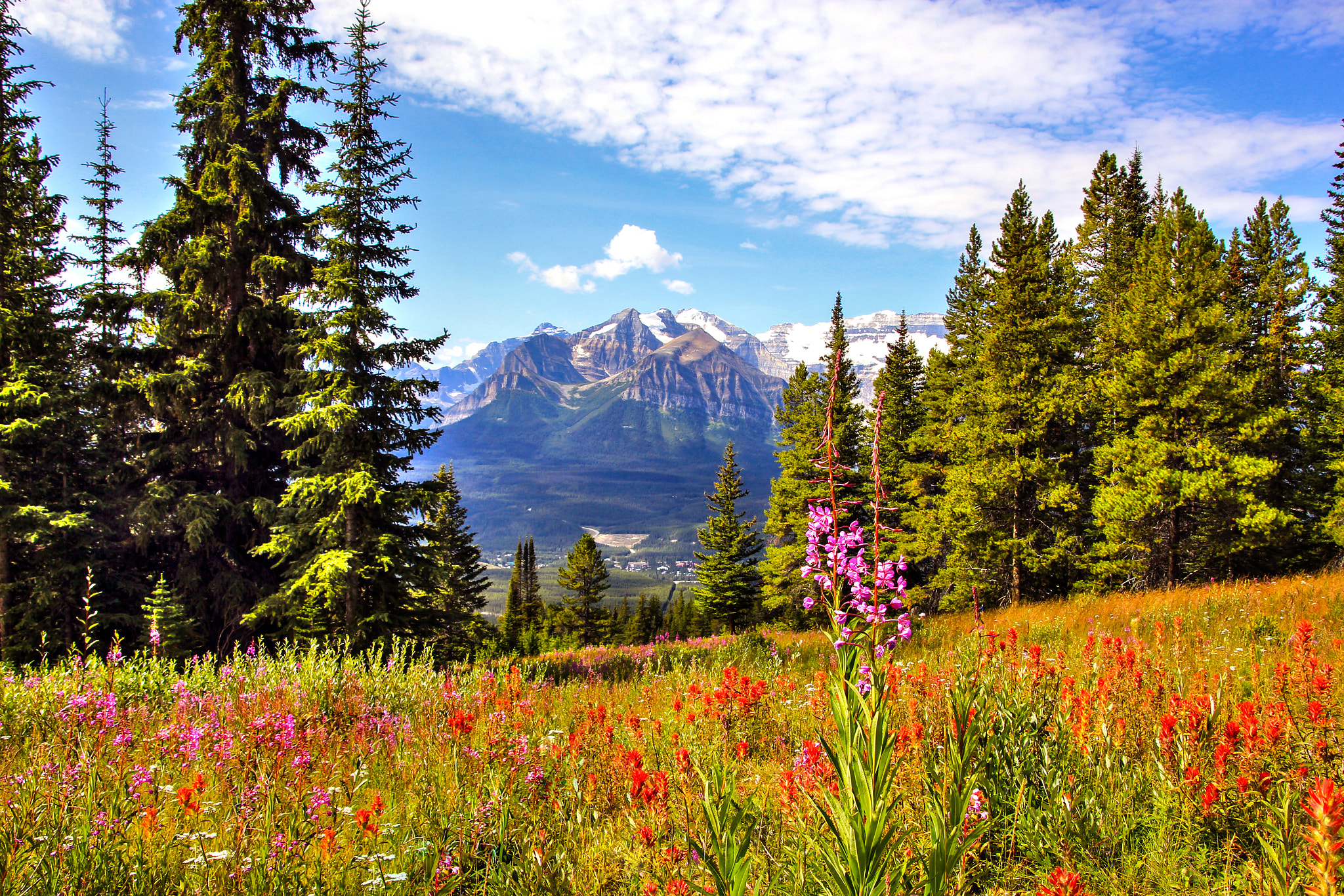 Canon EOS 550D (EOS Rebel T2i / EOS Kiss X4) sample photo. Summer at lake louise resort photography