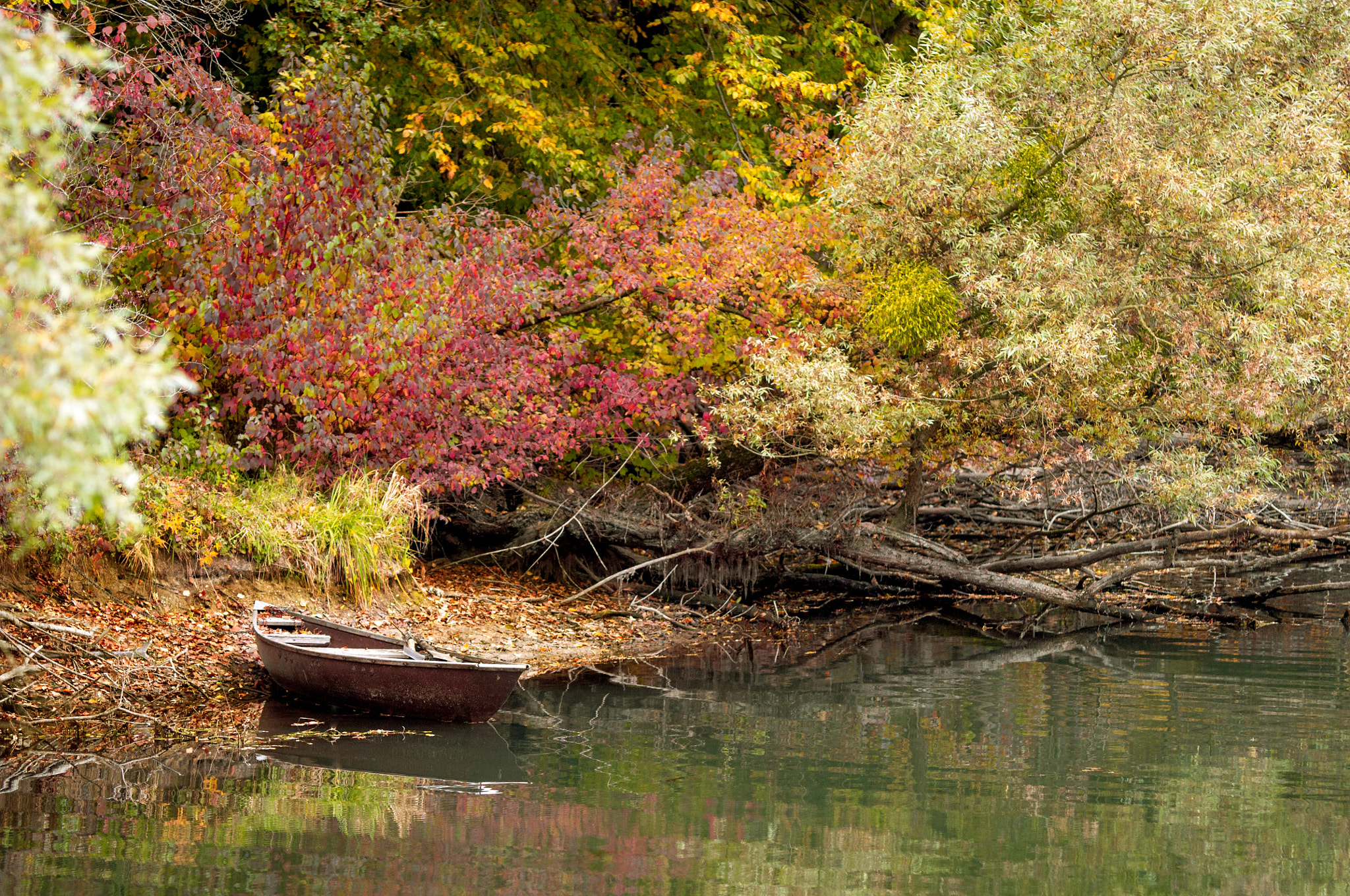 Nikon D5000 sample photo. Herbst photography