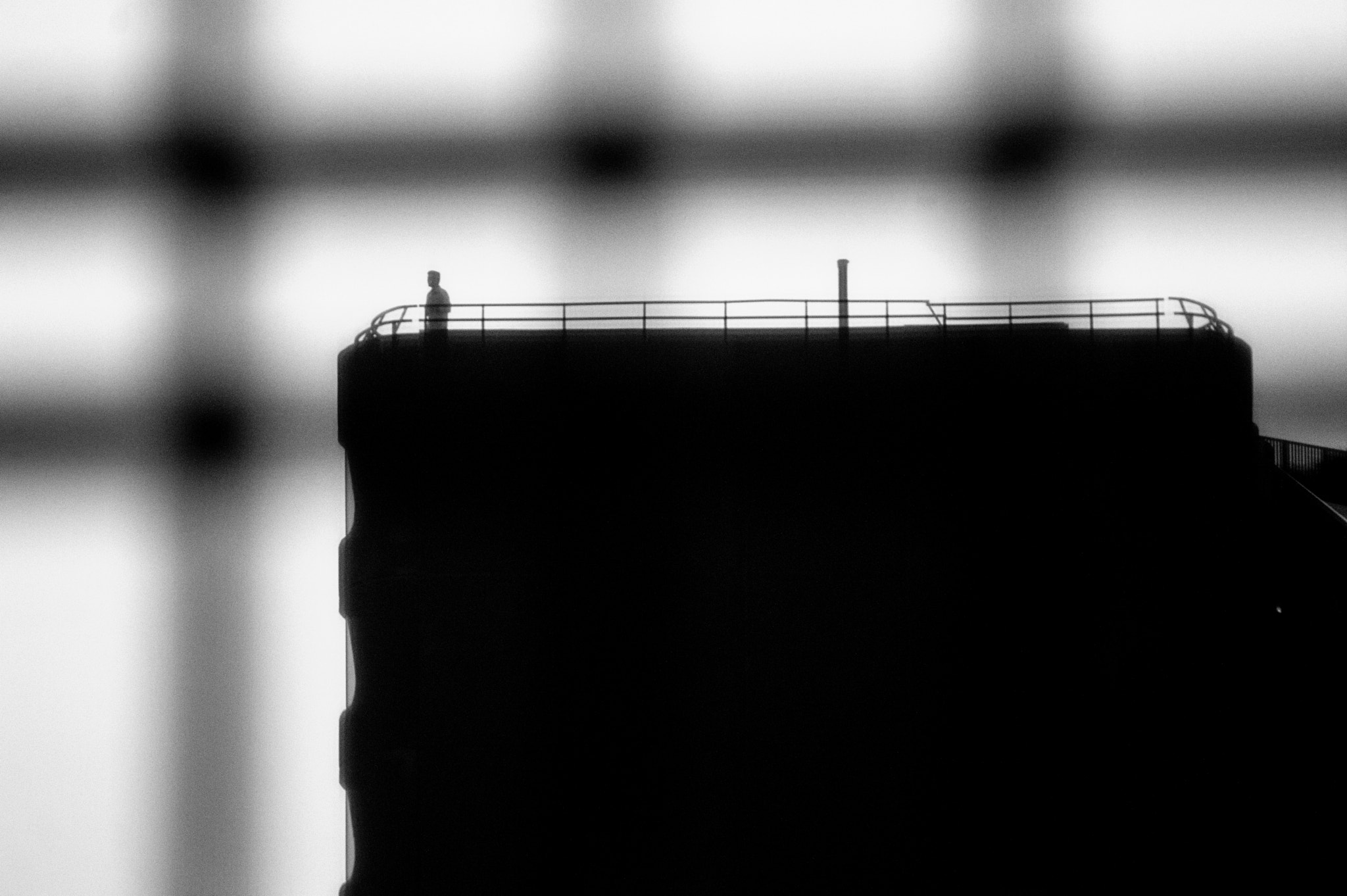 Sigma 70-300mm F4-5.6 DG Macro sample photo. On top of the world photography