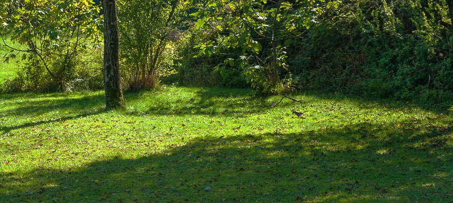 Canon EOS 1000D (EOS Digital Rebel XS / EOS Kiss F) sample photo. Igra sjena photography