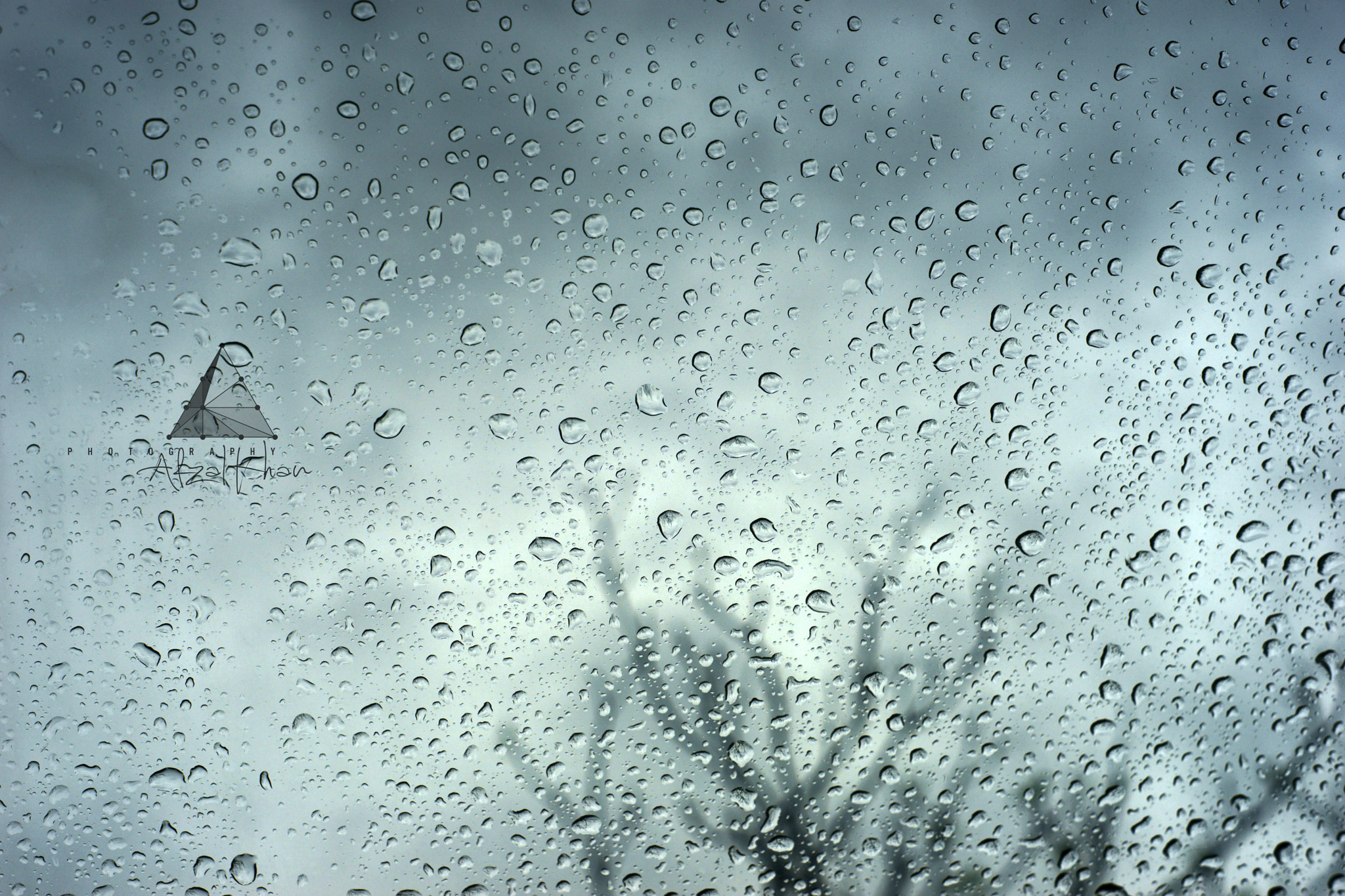 Sony a99 II sample photo. The rain tree. photography