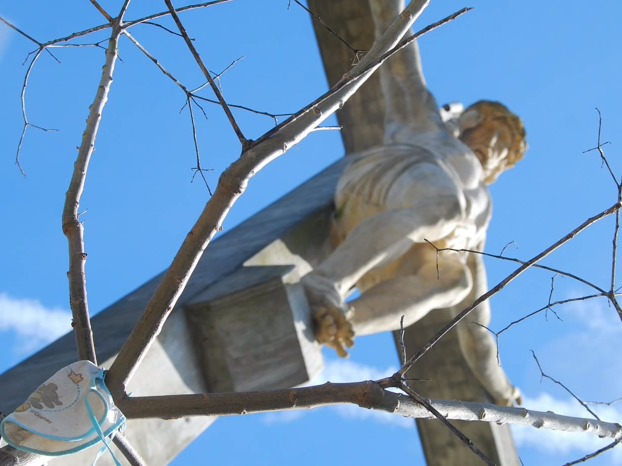 Sigma 18-200mm F3.5-6.3 DC OS HSM sample photo