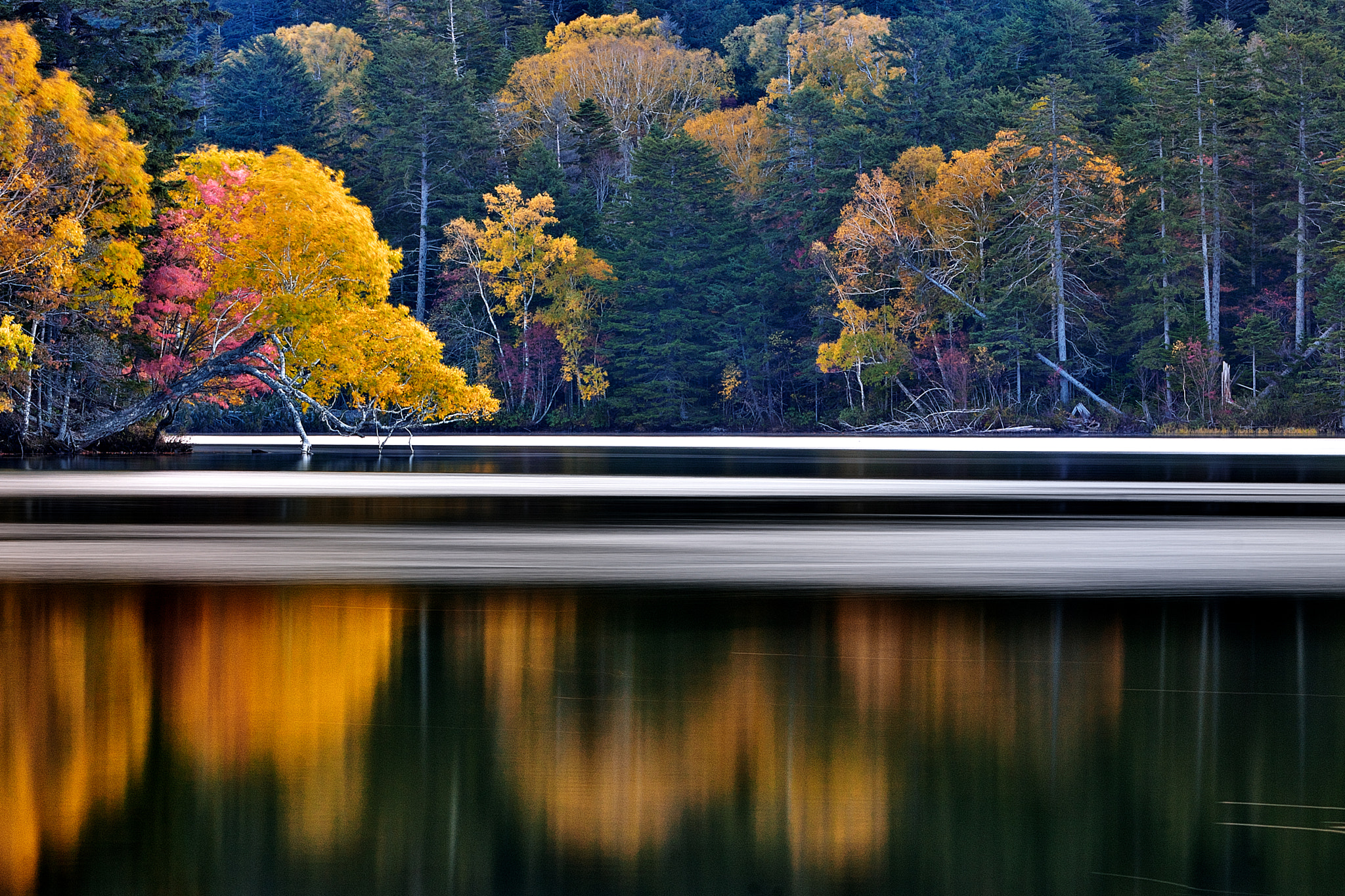 70-200mm F2.8 G SSM sample photo. Quiet air iii photography