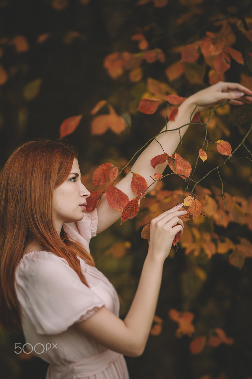 Canon EOS 7D + Sigma 85mm F1.4 EX DG HSM sample photo. Autumn dreams photography