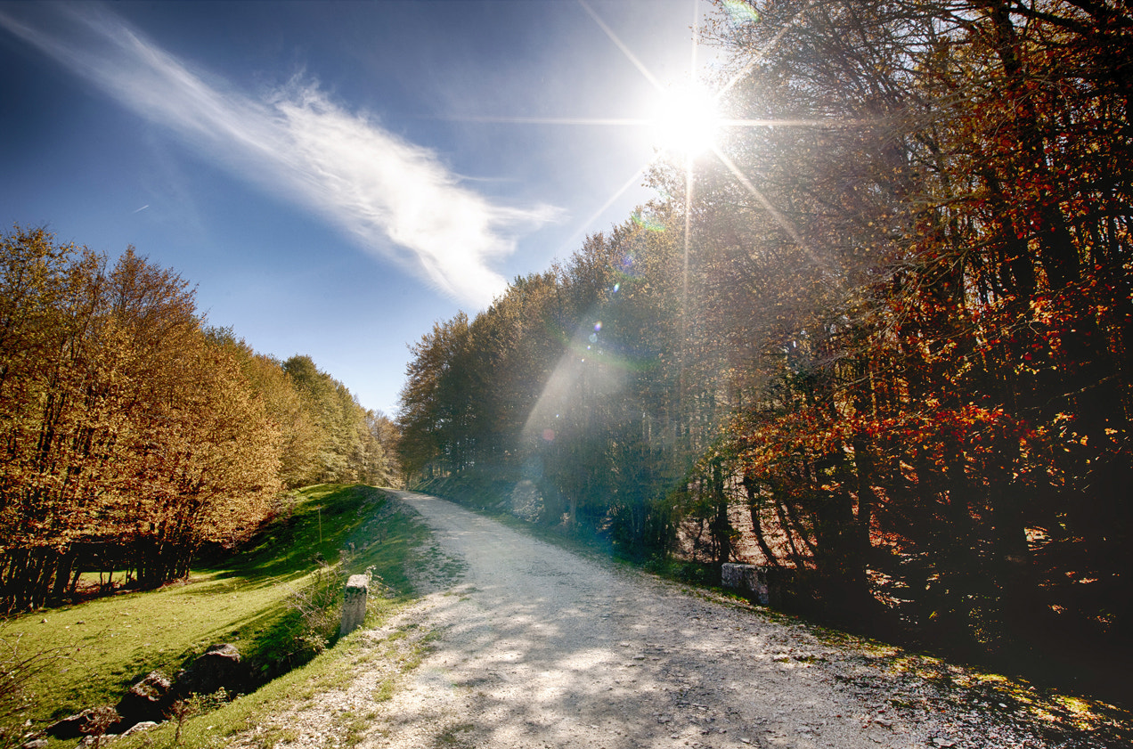 Nikon D700 + Sigma 17-35mm F2.8-4 EX Aspherical sample photo. Autumn in sepino photography