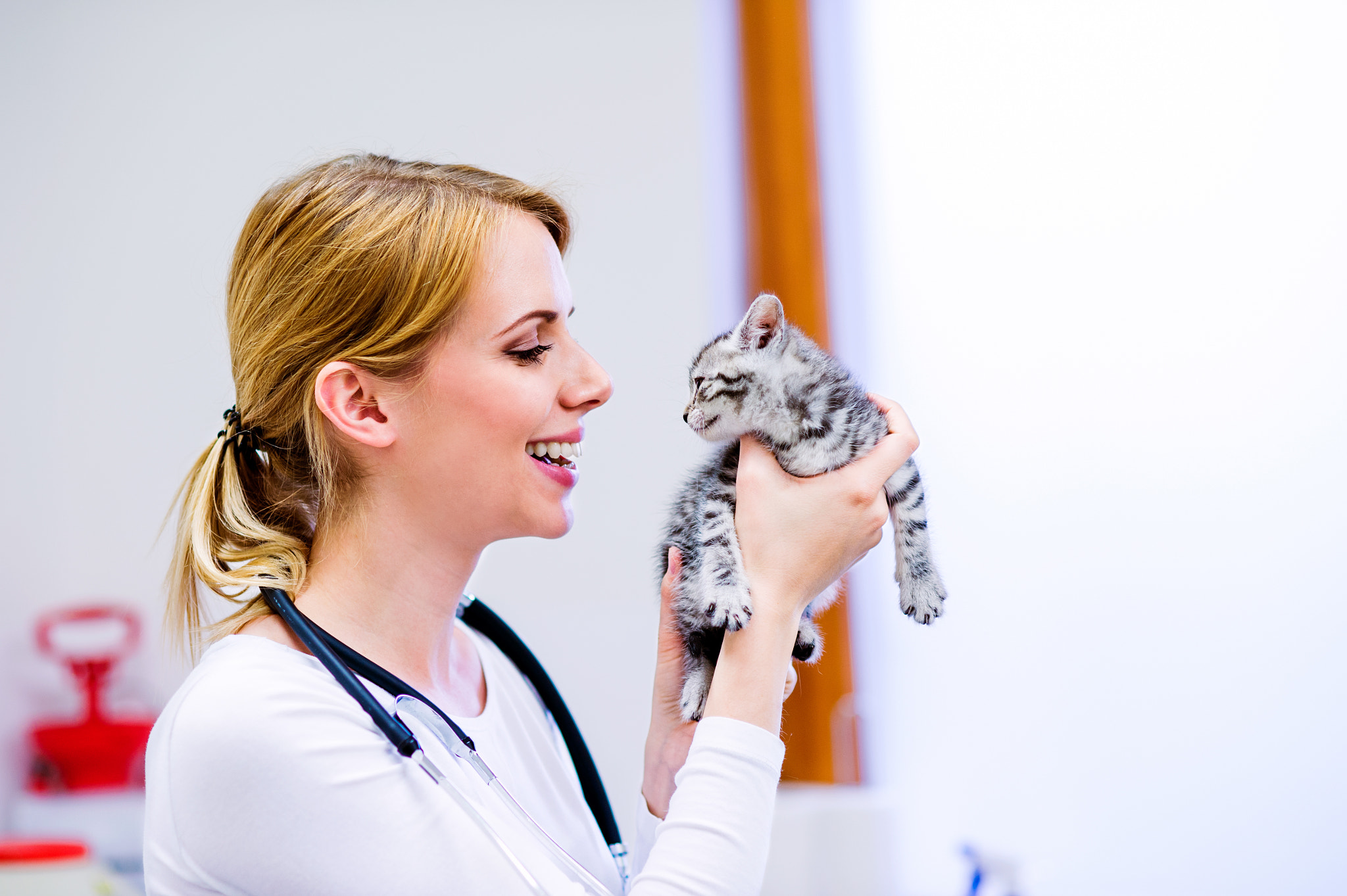Nikon D4S + Nikon AF Nikkor 85mm F1.8D sample photo. Veterinarian with stethoscope holding little sick cat. photography