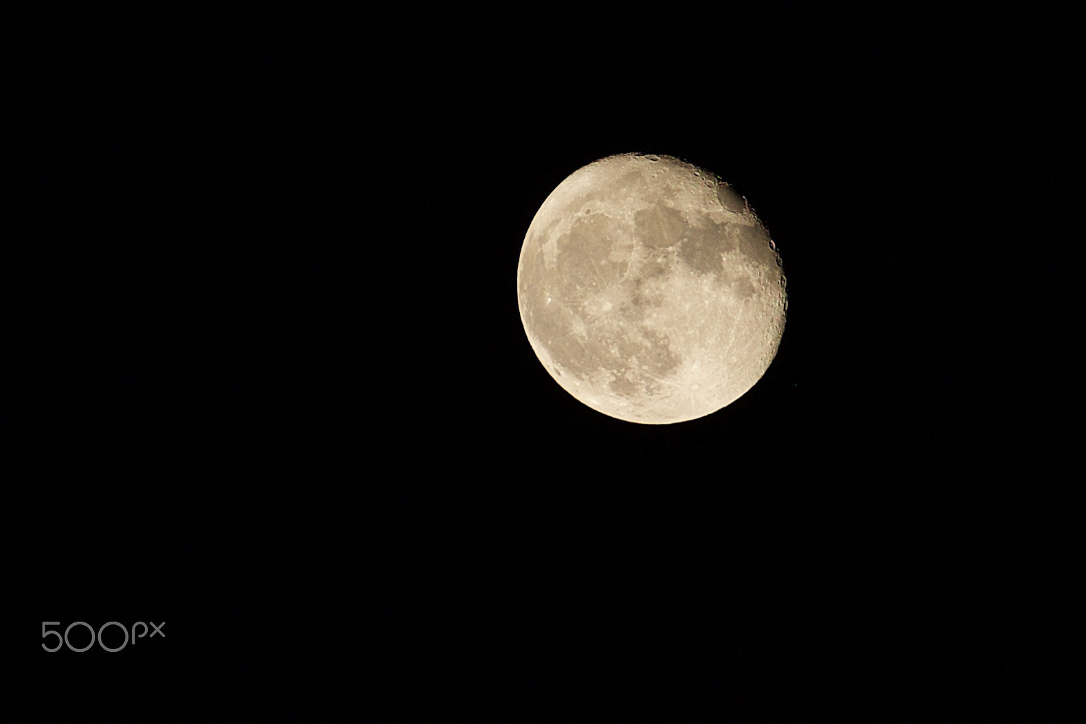 Fujifilm X-E1 + Fujifilm XF 55-200mm F3.5-4.8 R LM OIS sample photo. Fall 2016 photography