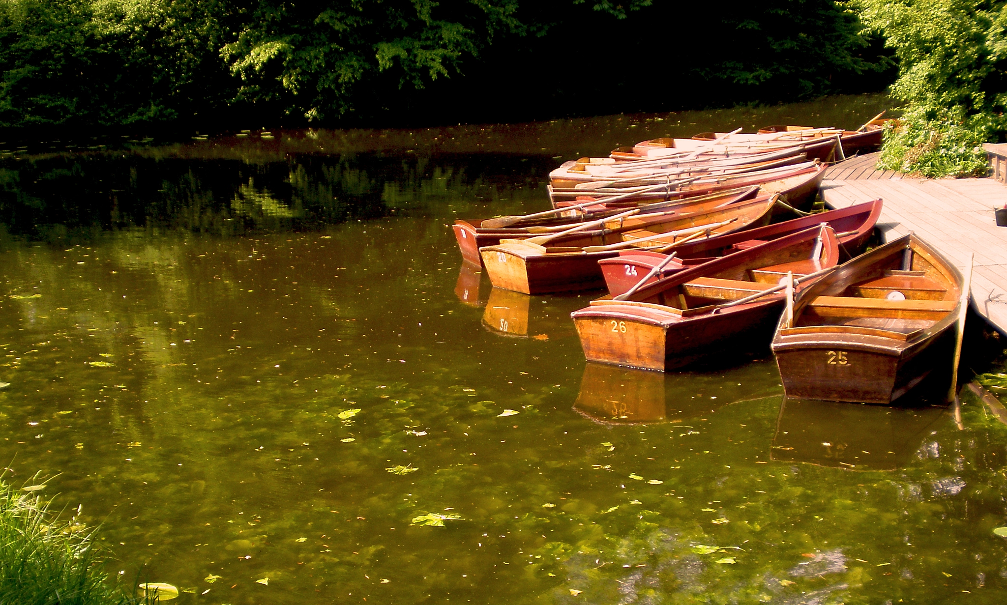 Olympus FE230/X790 sample photo. Rowboats photography