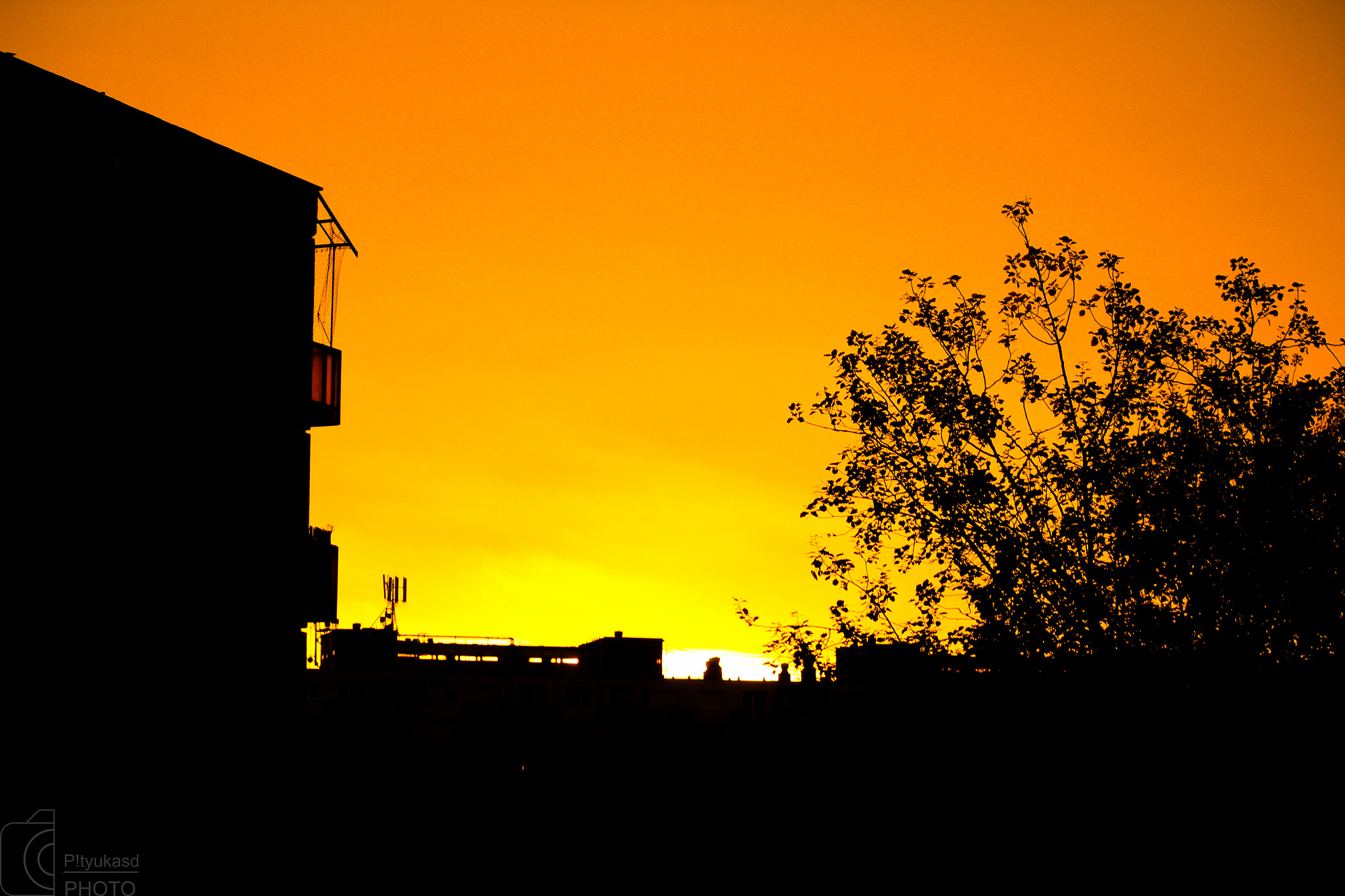 Canon EF-S 55-250mm F4-5.6 IS sample photo. Morning lights photography