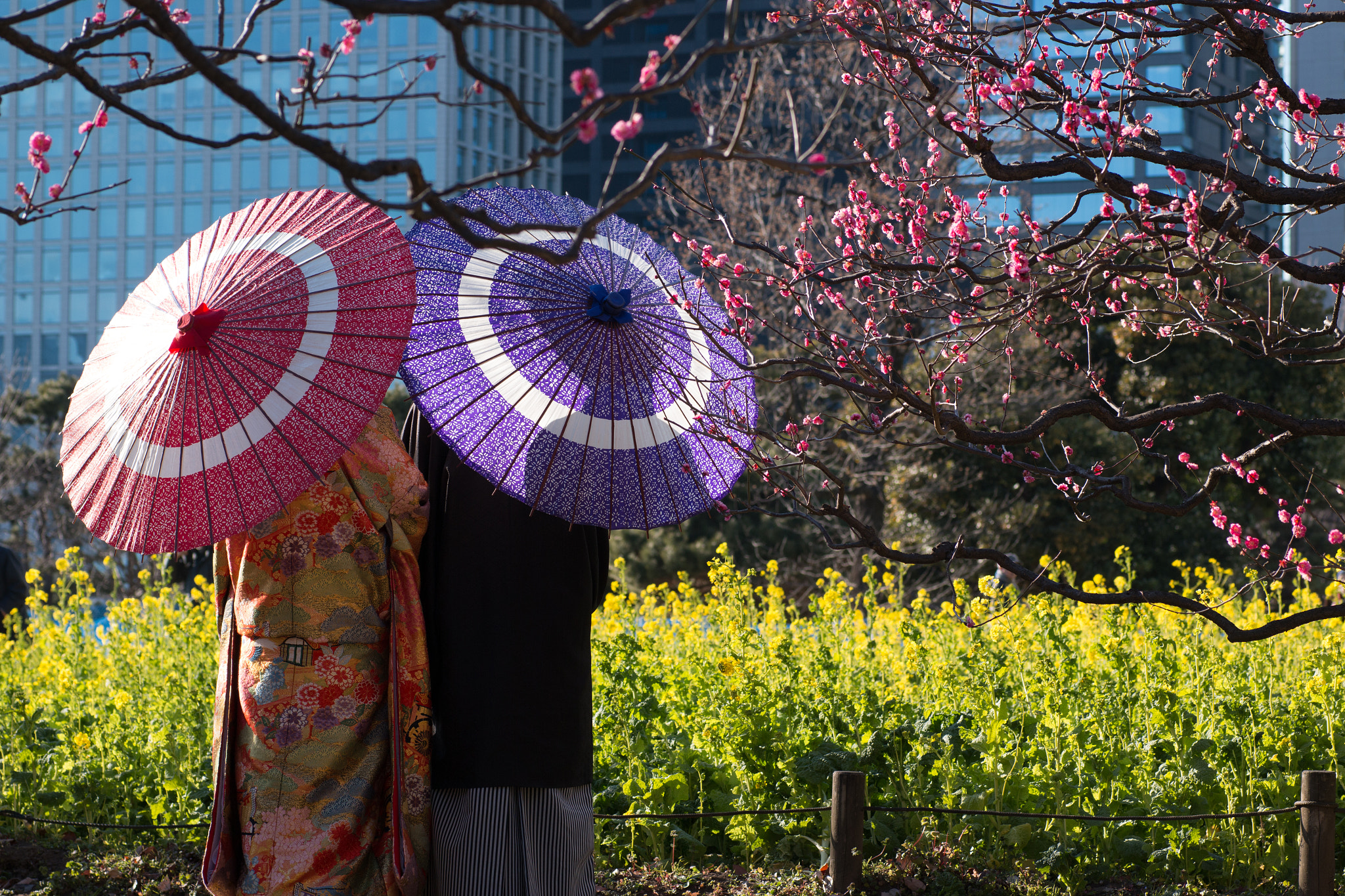 Sigma 50mm f/1.4 EX DG HSM + 1.4x sample photo. A young couple photography