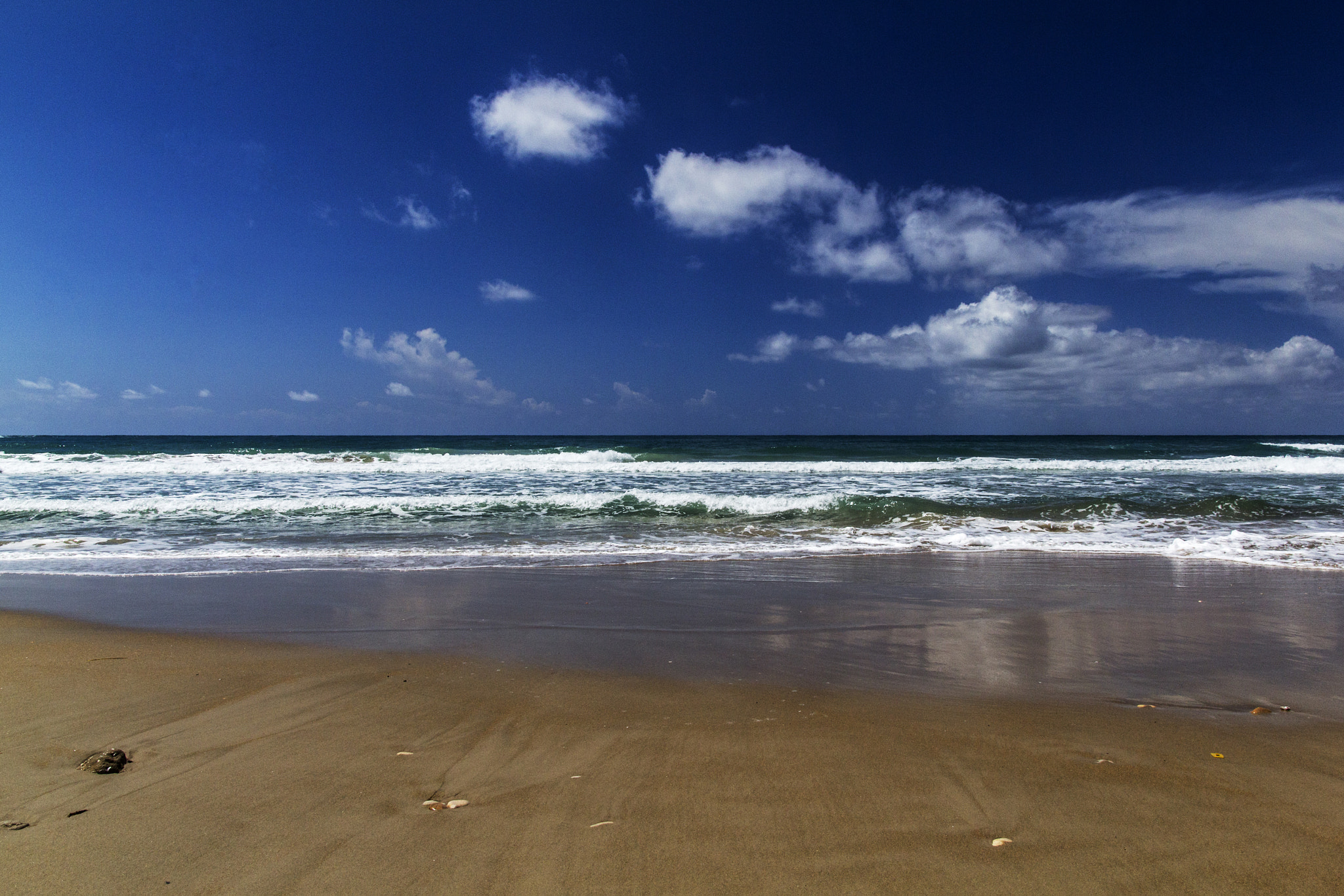 Sigma 17-70mm F2.8-4 DC Macro OS HSM sample photo. Sea... photography