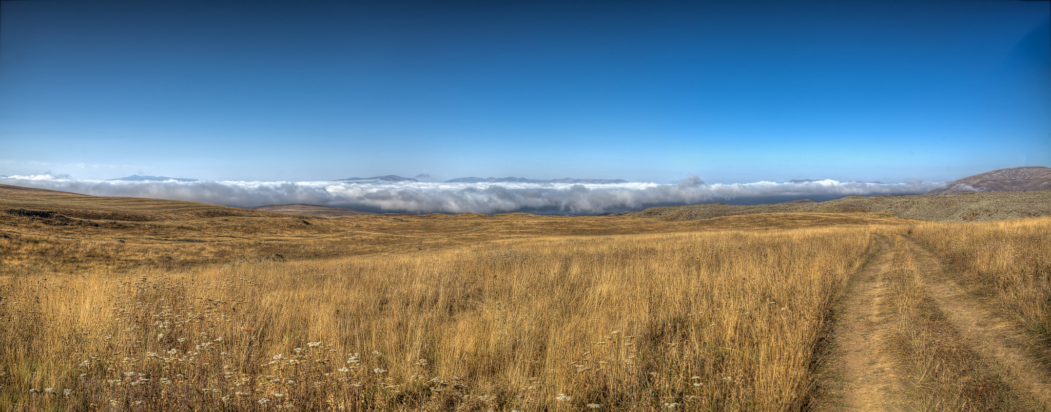 Canon EF 28-300mm F3.5-5.6L IS USM sample photo. Autumn fields photography