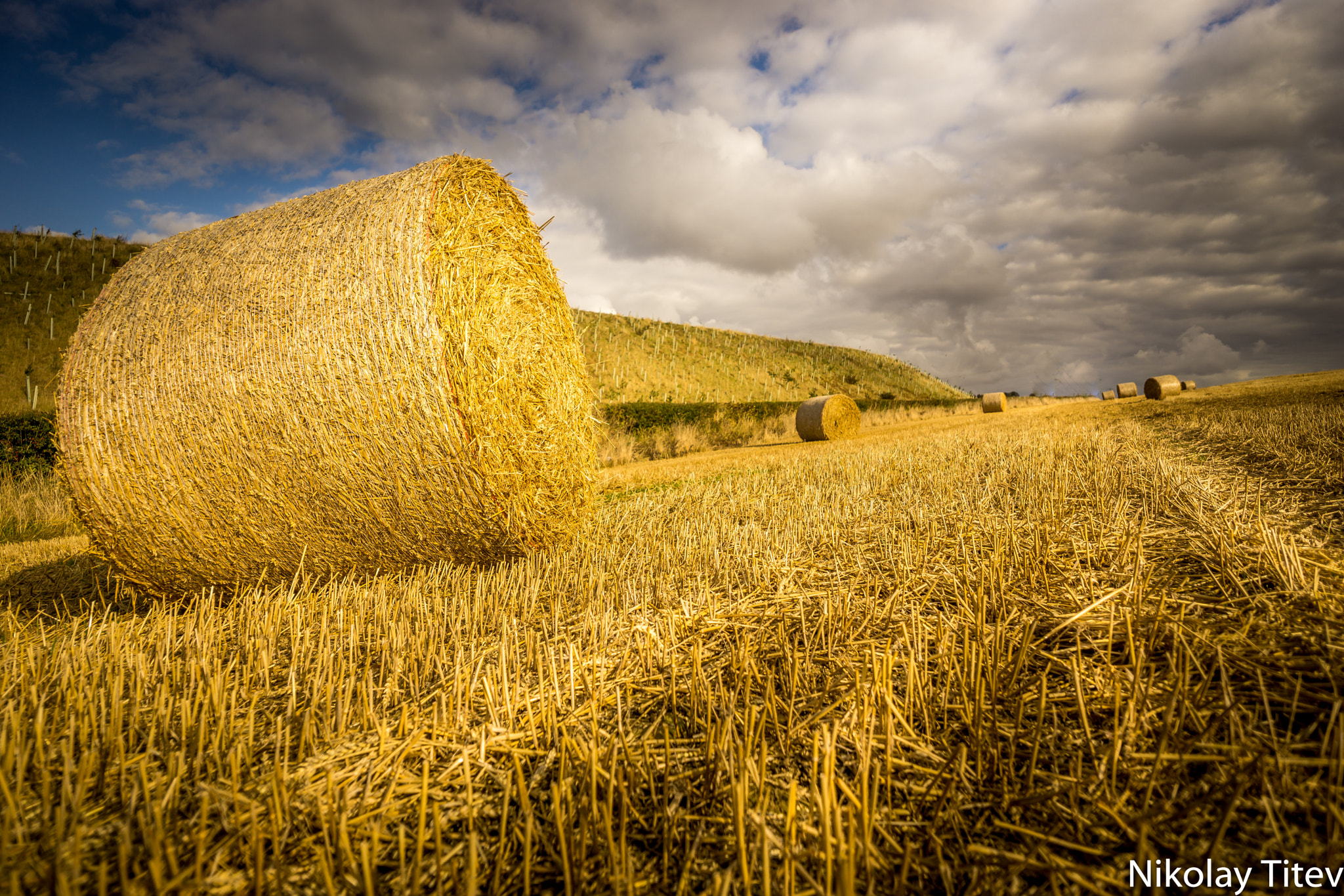 Sony a6000 + ZEISS Touit 12mm F2.8 sample photo. Fields of gold photography