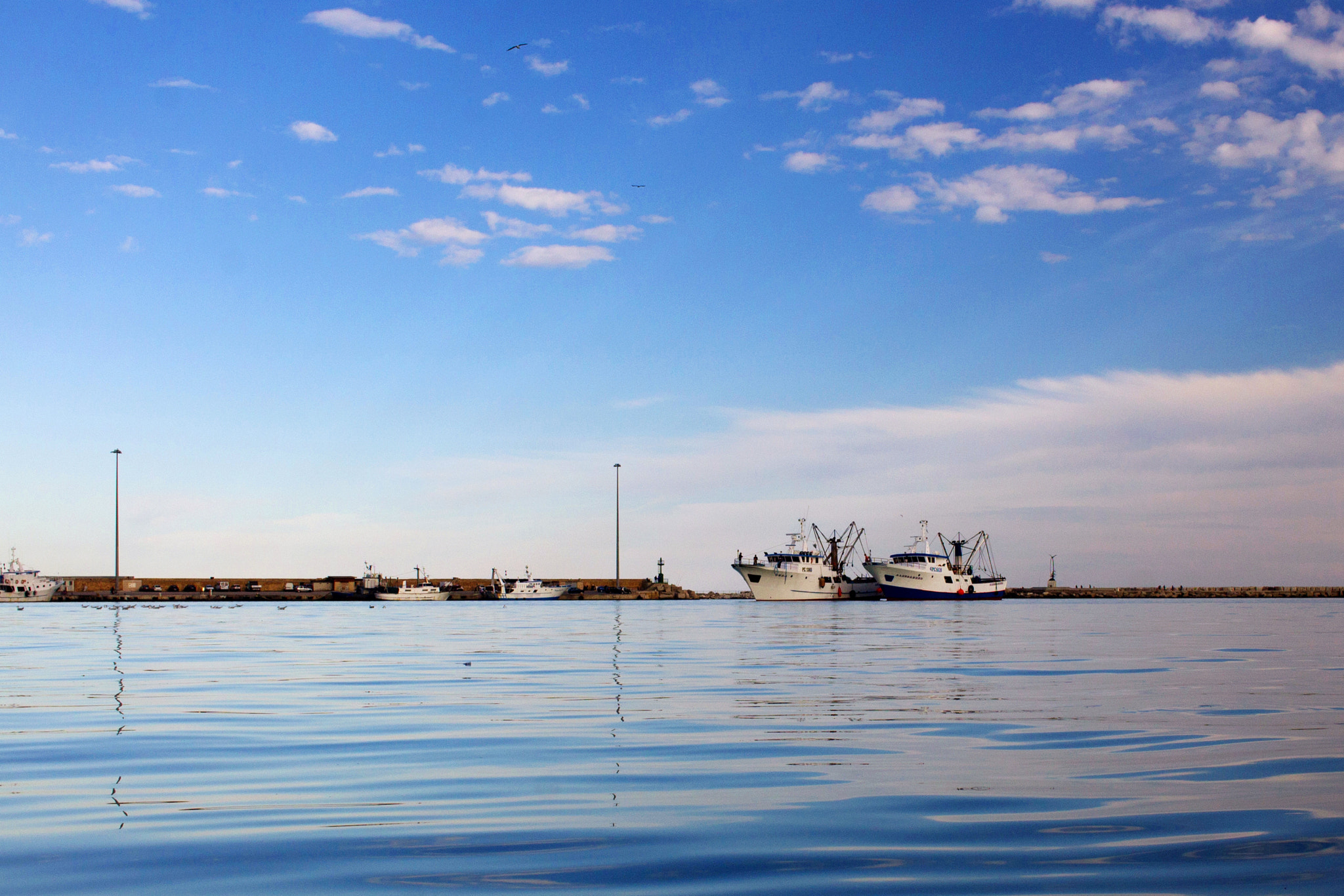 Canon EF-S 24mm F2.8 STM sample photo. Porto.... photography