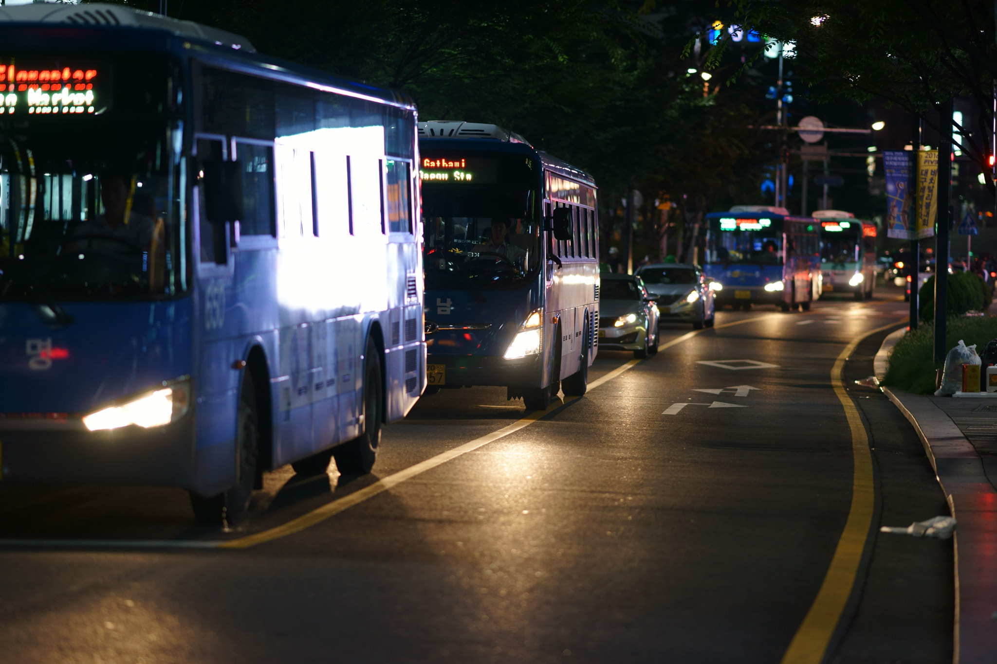 Sony Sonnar T* 135mm F1.8 ZA sample photo. In daegu photography