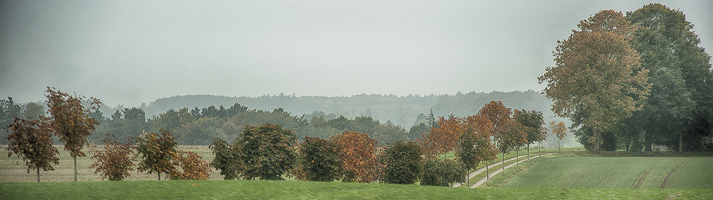 Nikon D3 sample photo. Just a autumnday photography