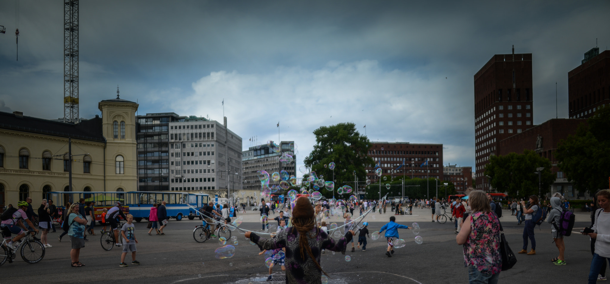 Nikon D800 + Samyang 12mm F2.8 ED AS NCS Fisheye sample photo. The real dreamcatcher photography