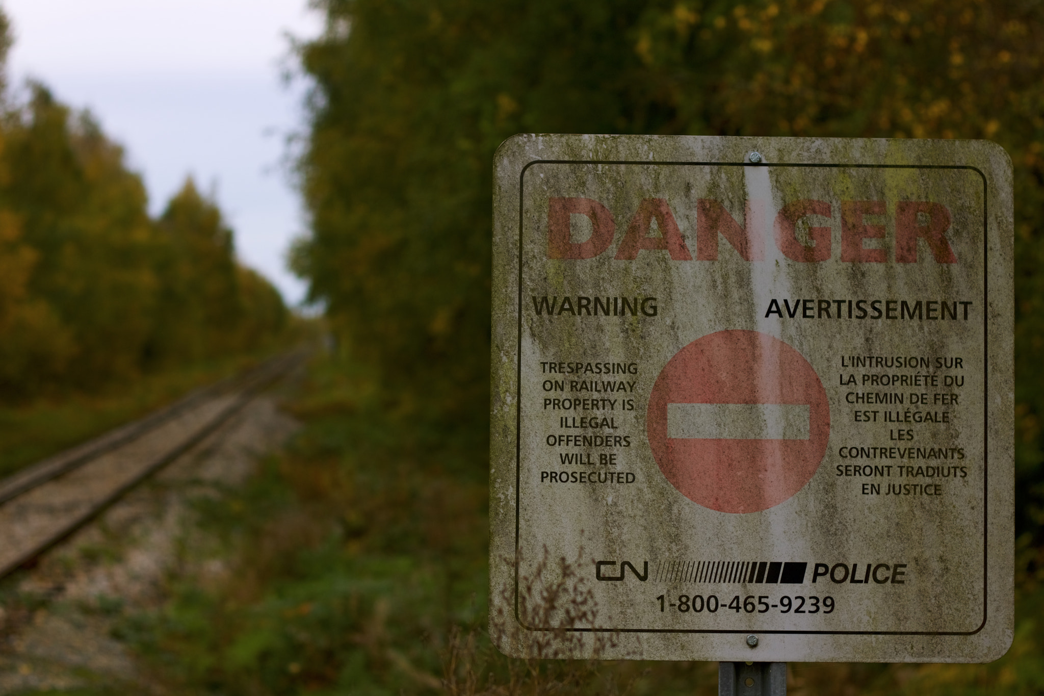 Canon EOS 760D (EOS Rebel T6s / EOS 8000D) sample photo. Danger railroads photography