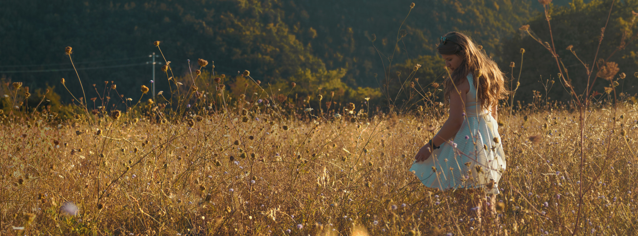 Tamron 18-270mm F3.5-6.3 Di II PZD sample photo. Untitled panorama photography