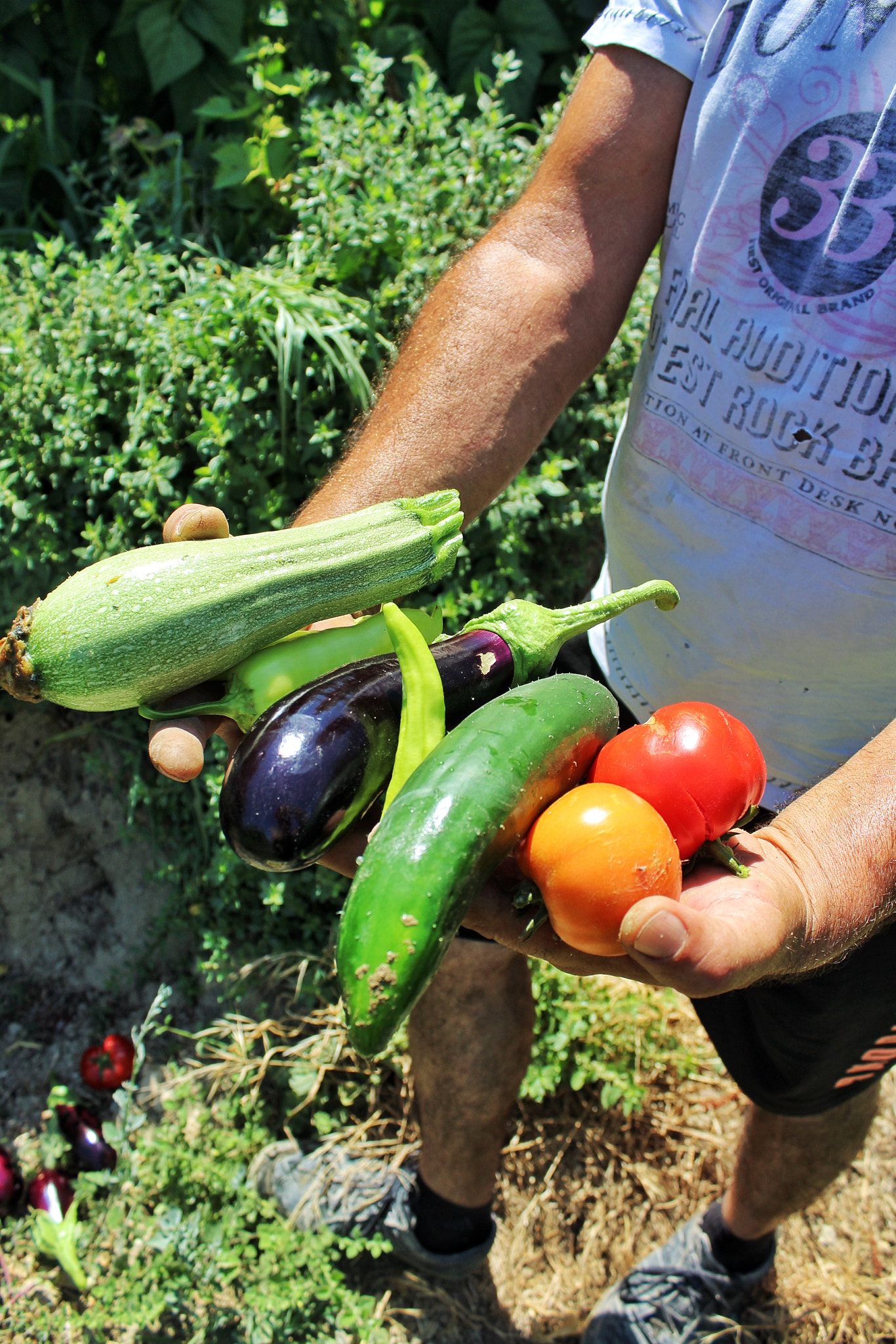 Canon EOS 1200D (EOS Rebel T5 / EOS Kiss X70 / EOS Hi) + Canon EF-S 18-55mm F3.5-5.6 IS II sample photo. Zucchini eggplant cucumber and two tomatoes photography