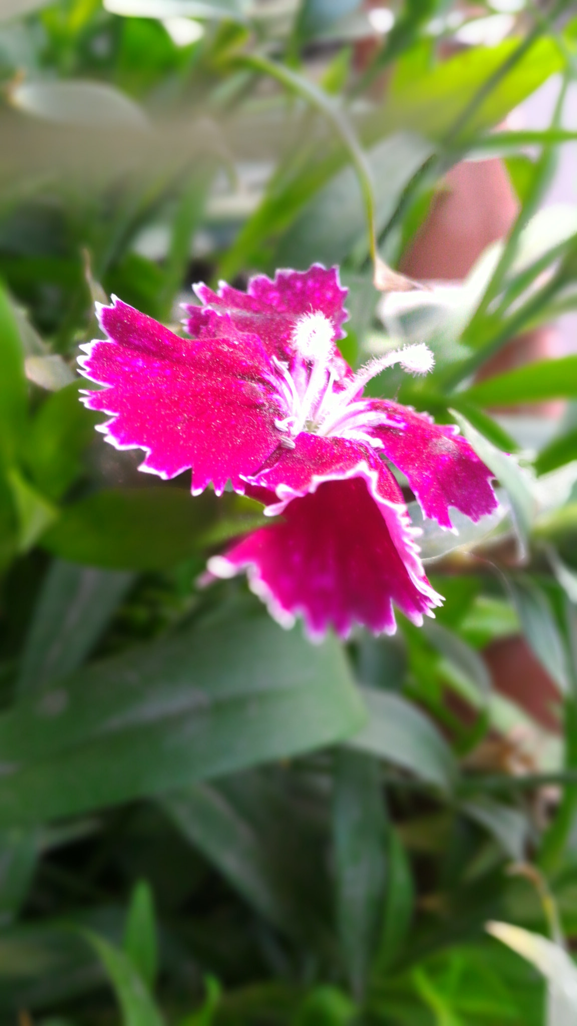 ASUS Z008D sample photo. World's attractions photography