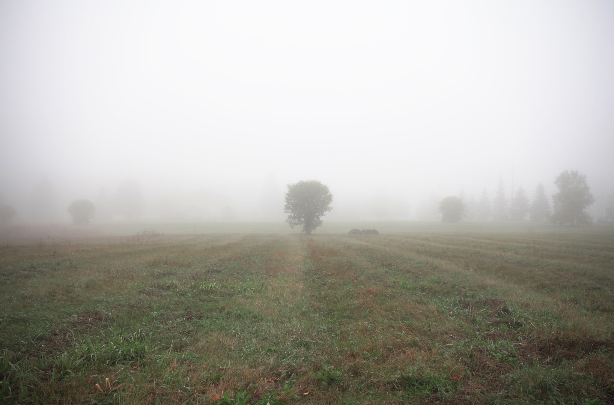 Canon EF 28-80mm f/3.5-5.6 USM IV sample photo. Lucid dreaming photography