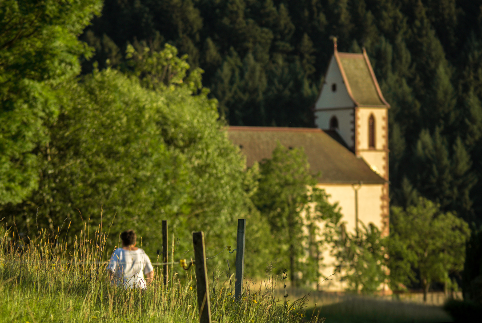 Sony SLT-A55 (SLT-A55V) + Sigma 70-300mm F4-5.6 DL Macro sample photo. The way to the church. photography