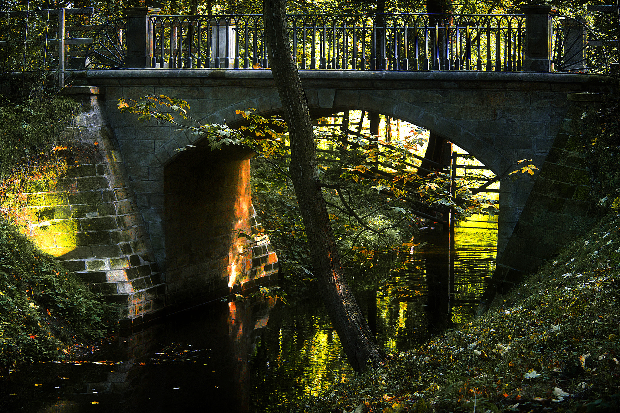 Nikon D4S sample photo. Bridge photography