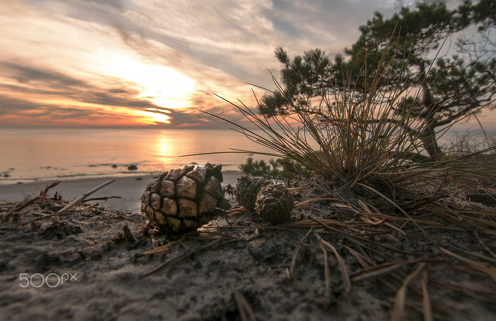 Tokina AT-X Pro 11-16mm F2.8 DX sample photo. The silence of the dunes photography