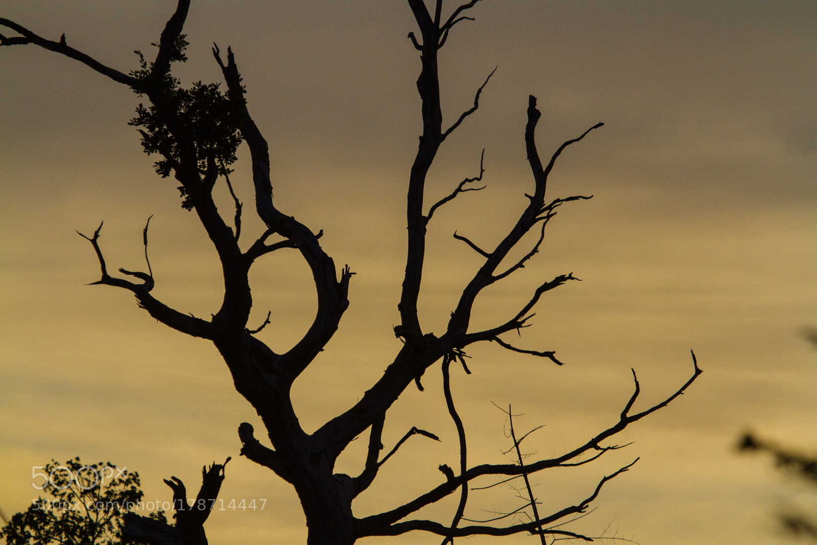 Canon EOS 7D sample photo. Untitled photography