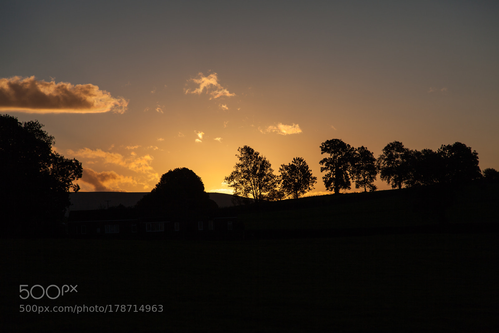 Canon EOS 5D Mark II sample photo. Untitled photography