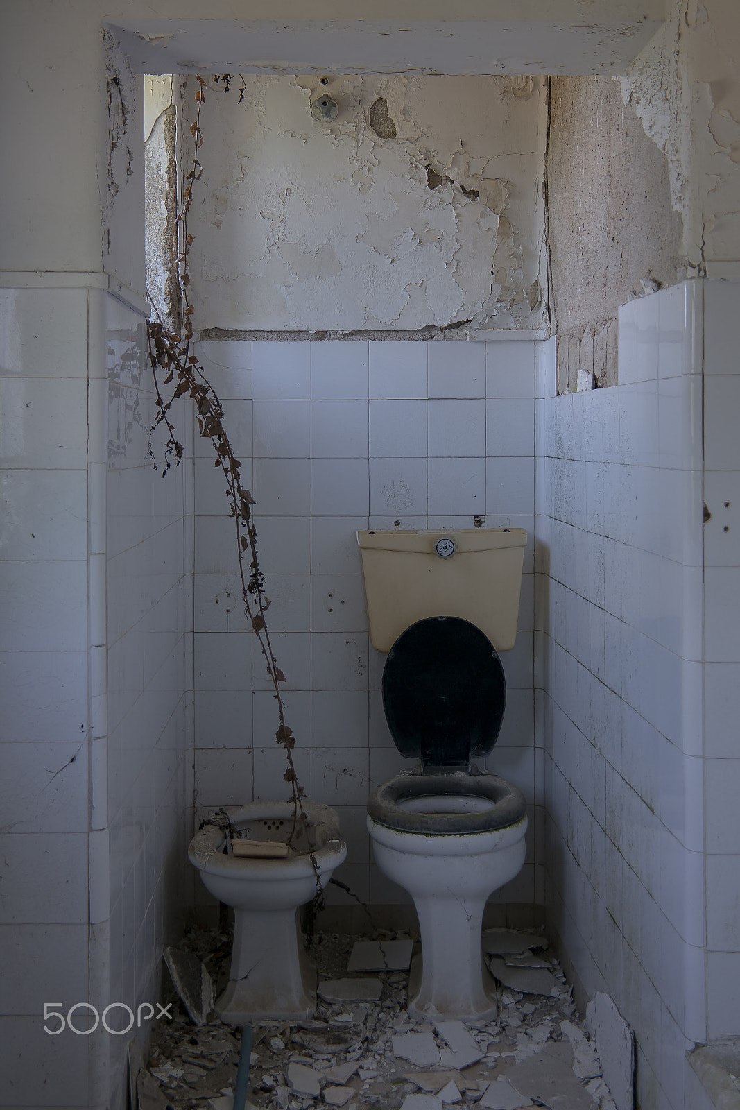 Samsung NX300 + Samsung NX 18-200mm F3.5-6.3 ED OIS sample photo. The neighbour his toilet photography