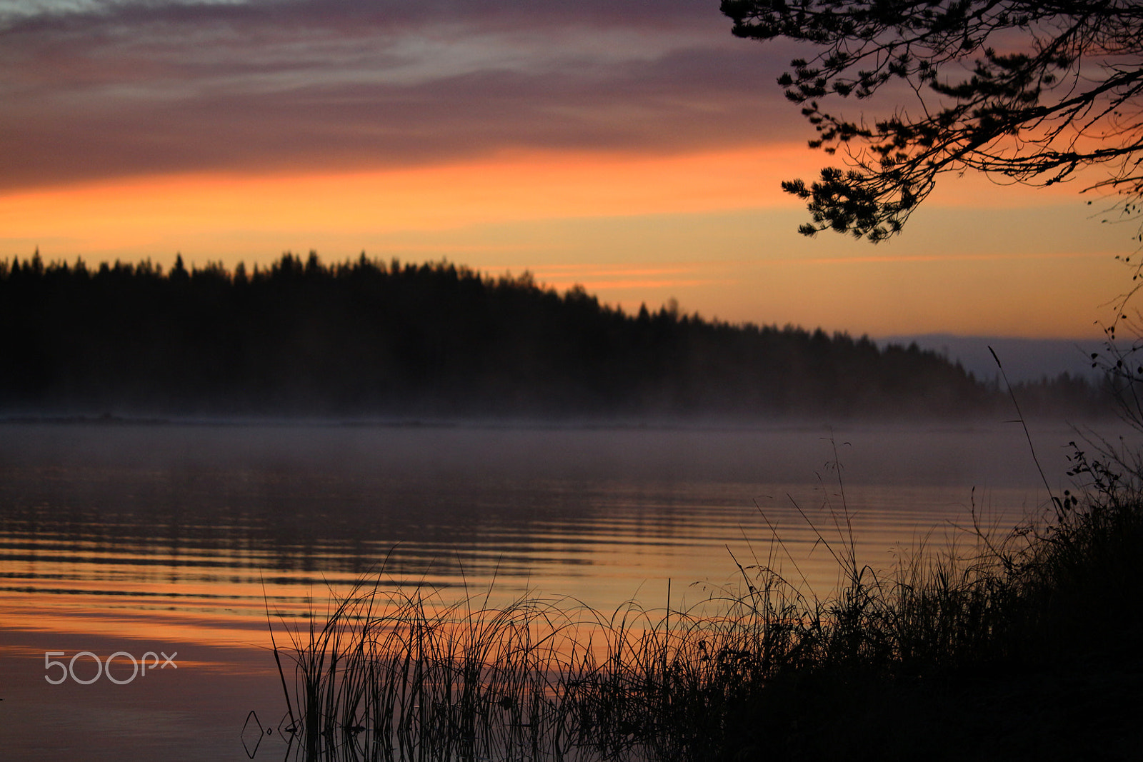 Canon EOS M sample photo. Sunrise and fog photography