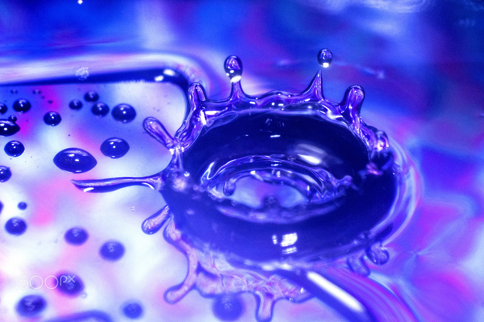 Nikon AF-S DX Micro Nikkor 40mm F2.8 sample photo. Circle of drops photography