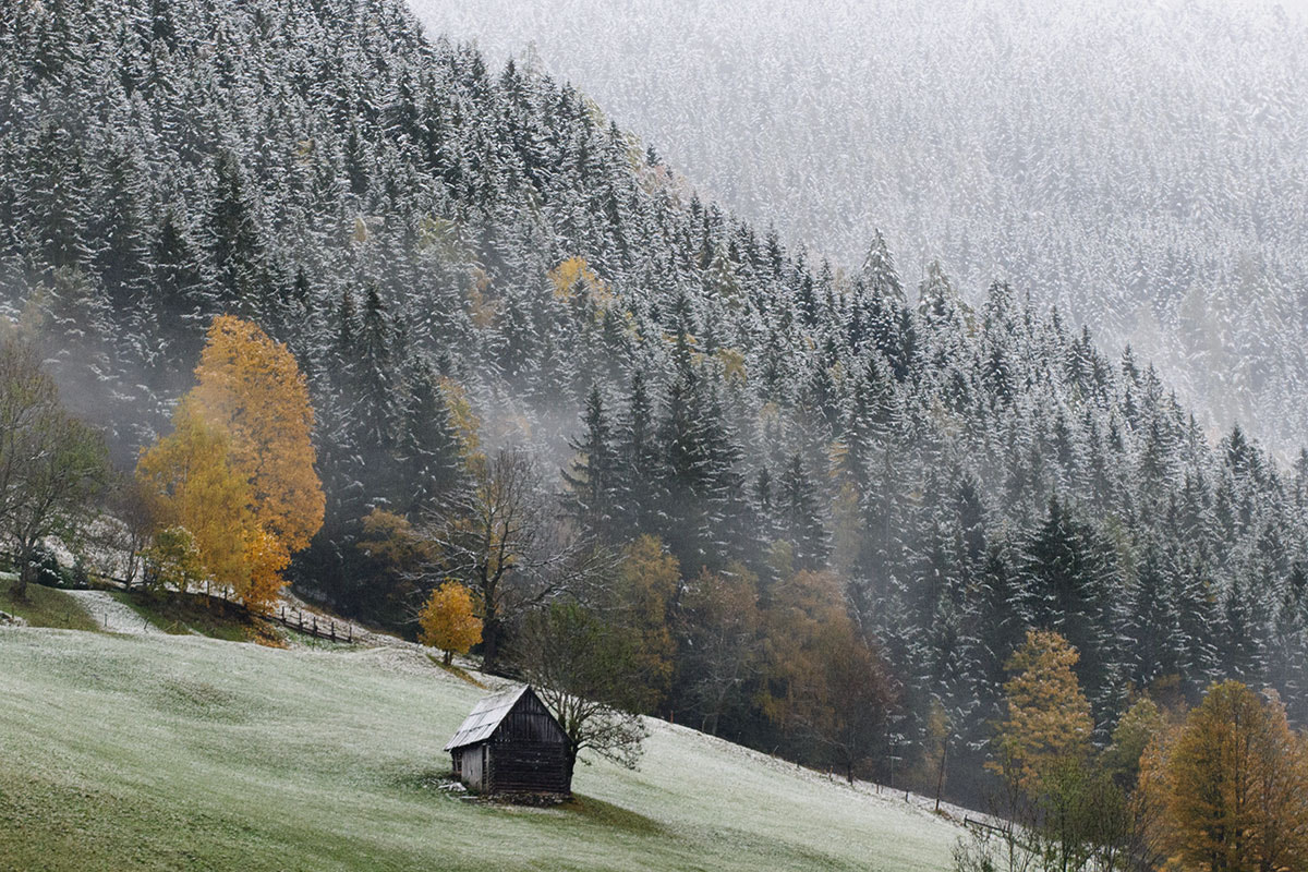 Nikon D3X sample photo. First snow photography
