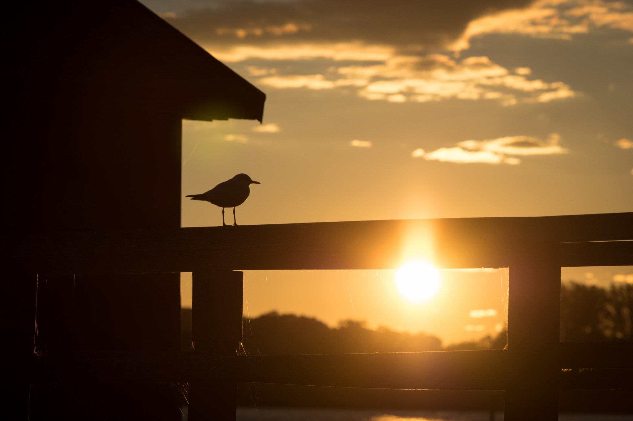 Pentax K-3 II sample photo. Sunset photography