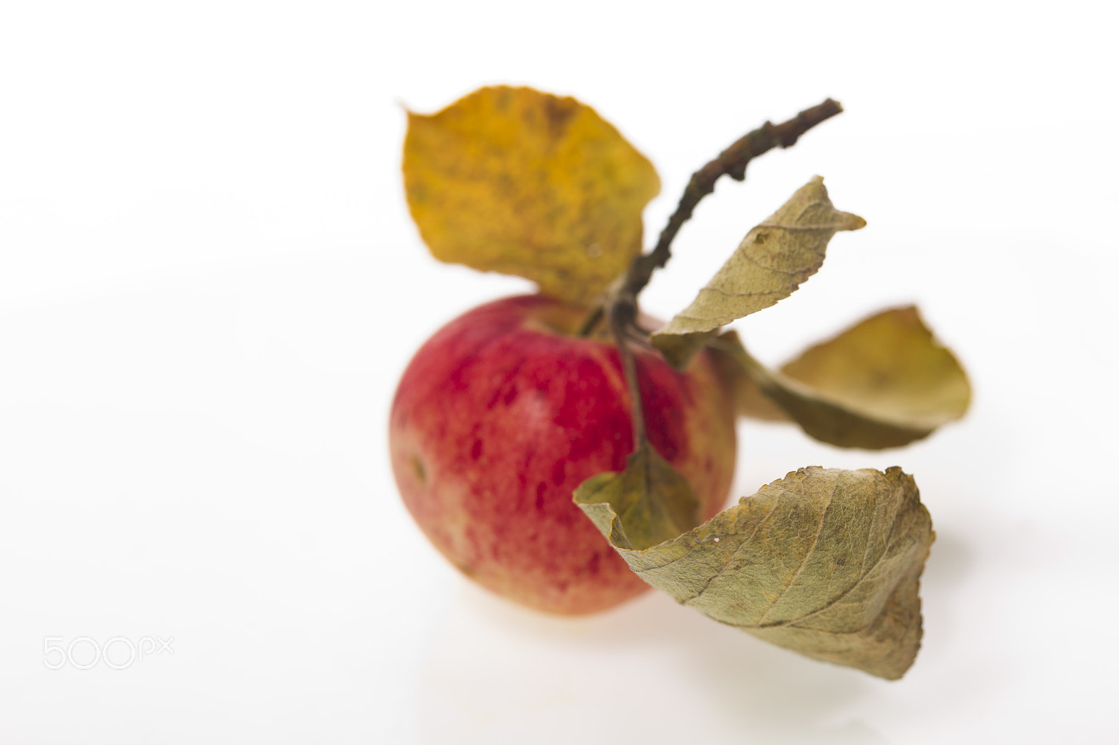 Canon EOS-1D Mark IV sample photo. Apple with leaves on a white plastic background photography