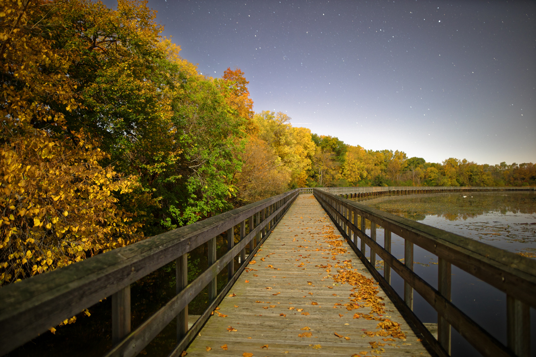 Sigma 24mm F1.4 DG HSM Art sample photo. Ford lake at midnight photography
