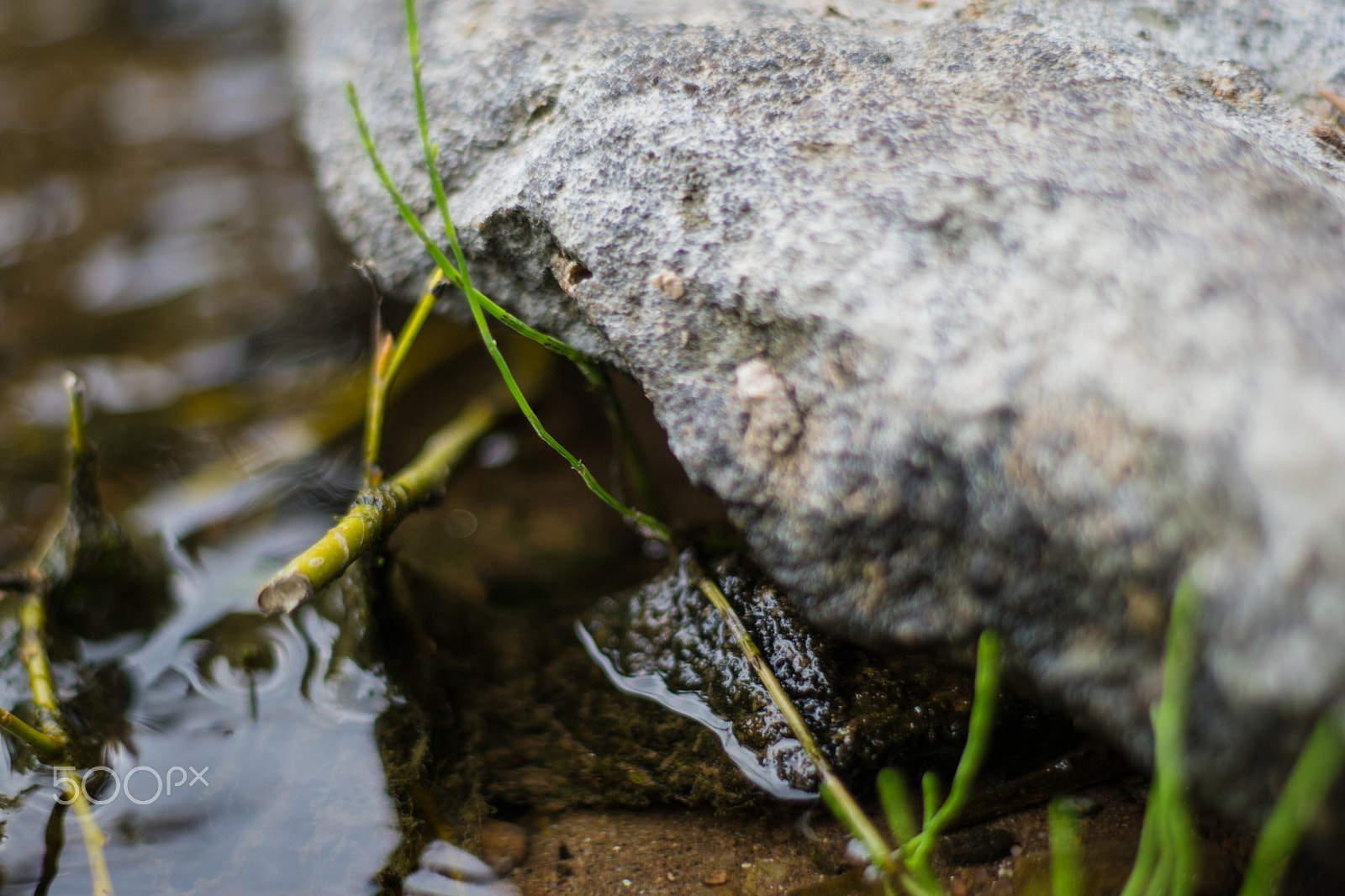 Sony a6000 + Canon EF 50mm F1.8 II sample photo. Rock on water .jpg photography