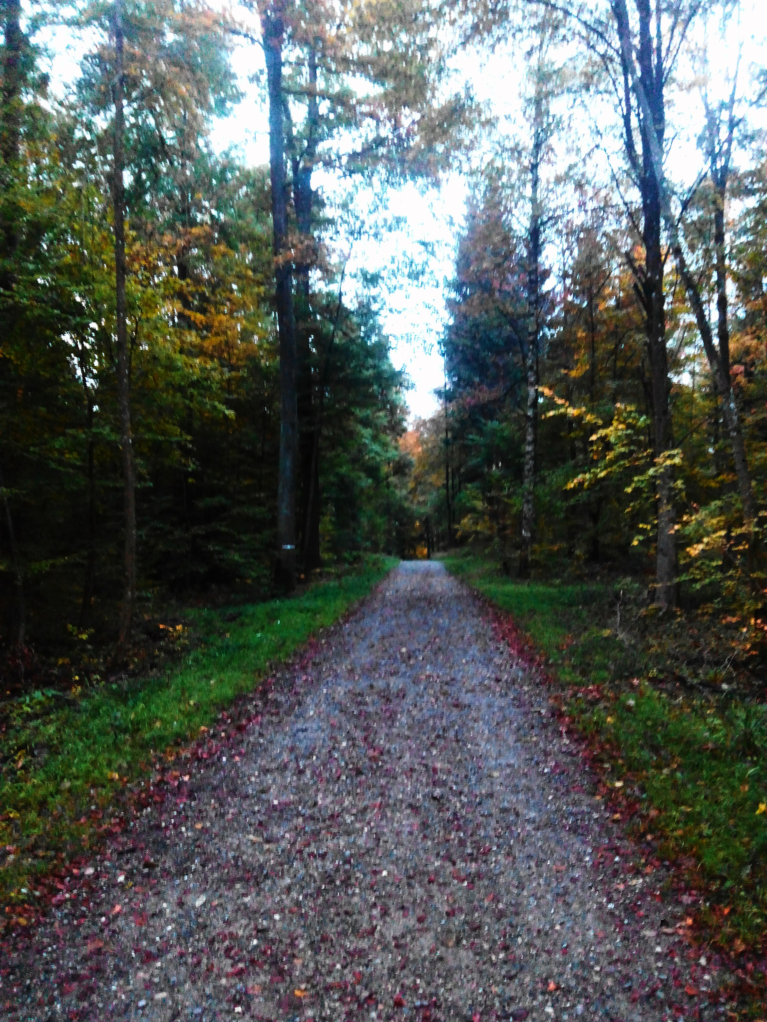 bq Aquaris E5 HD sample photo. Lonely path photography