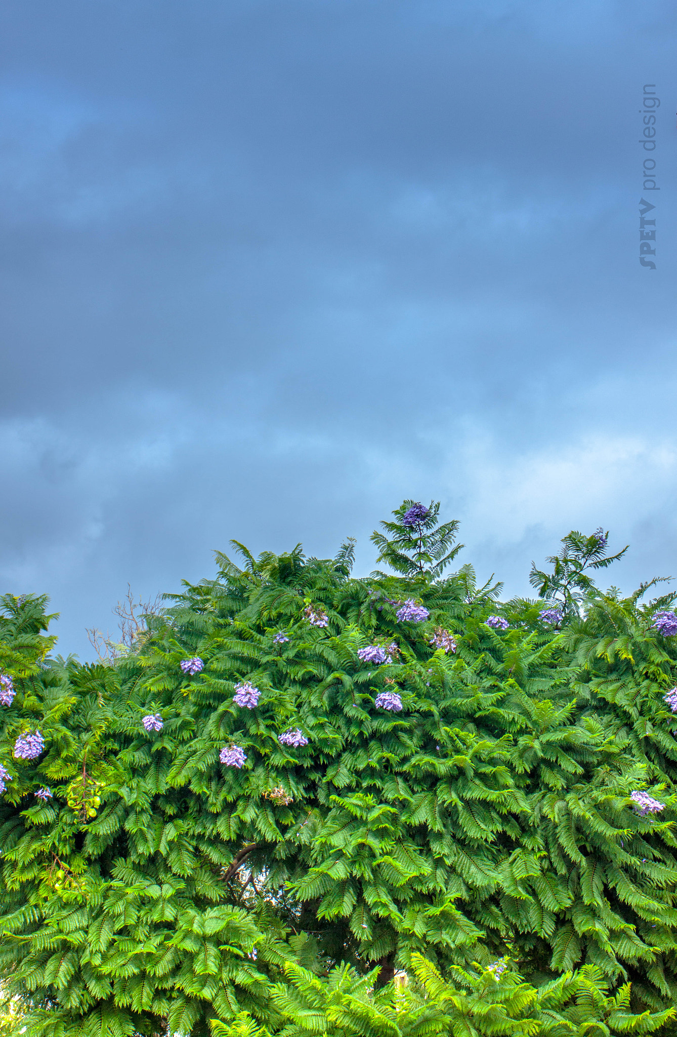 Canon EF 28-80mm f/3.5-5.6 sample photo