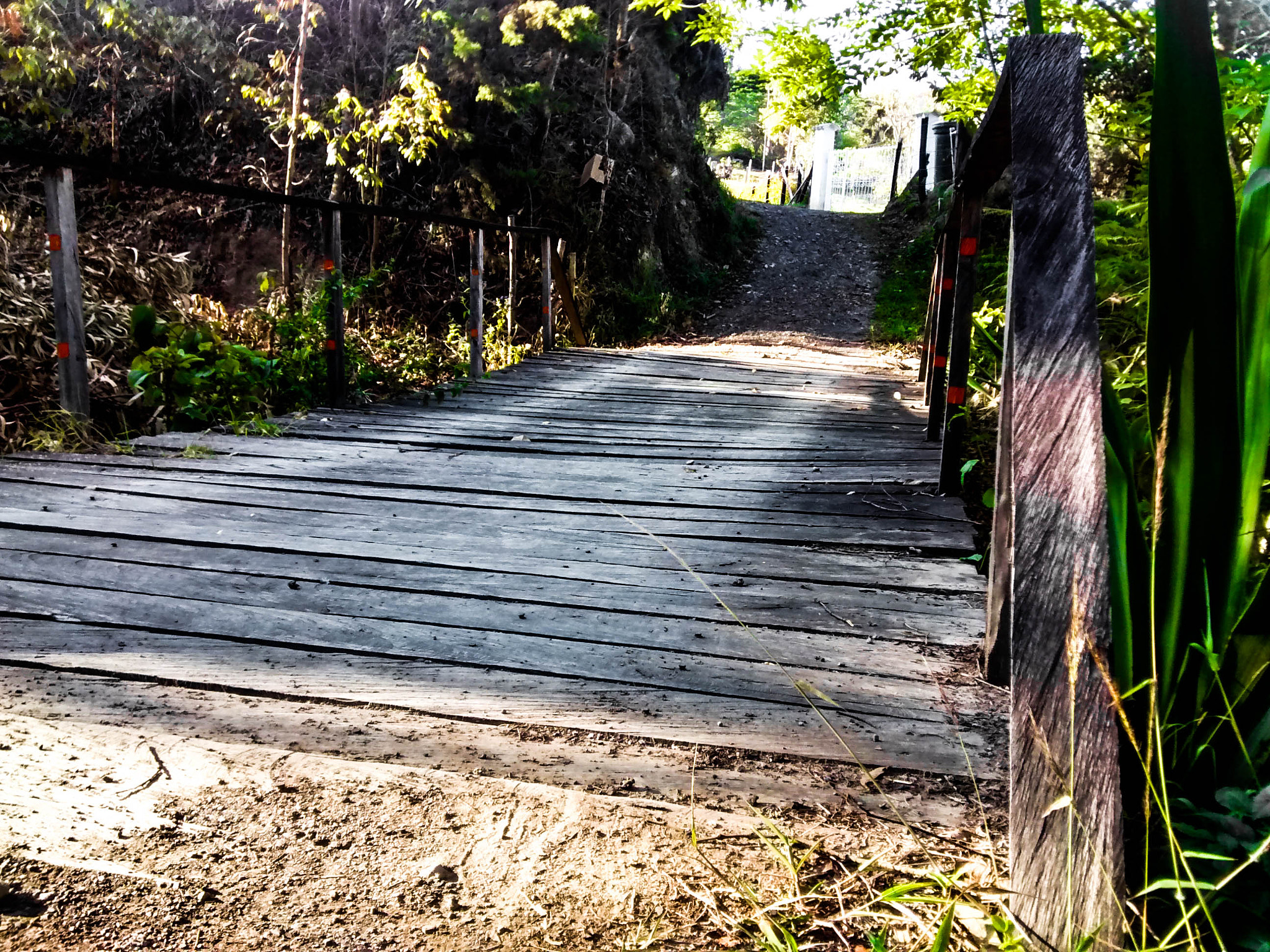 Motorola Moto G with 4G LTE (1st Gen) sample photo. Wood bridge photography