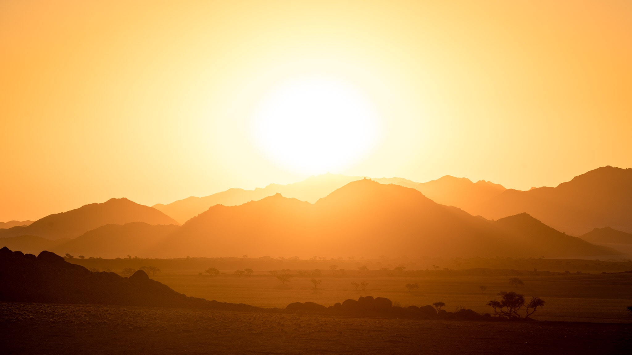 Sigma 70-200mm F2.8 EX DG HSM APO Macro sample photo. Namibia greenfire desert photography