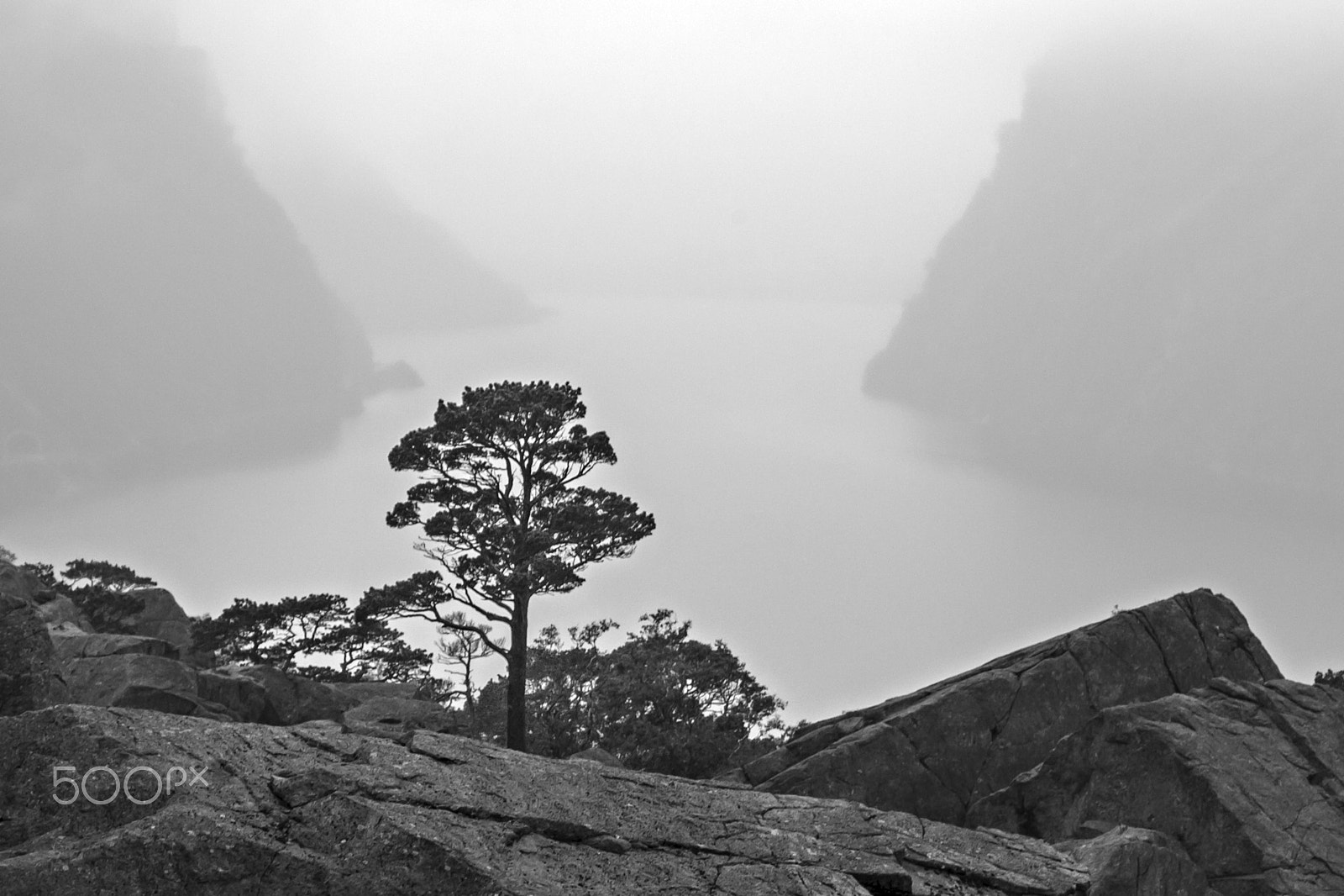 Canon EOS-1D Mark III sample photo. Foggy gloppedalsura photography