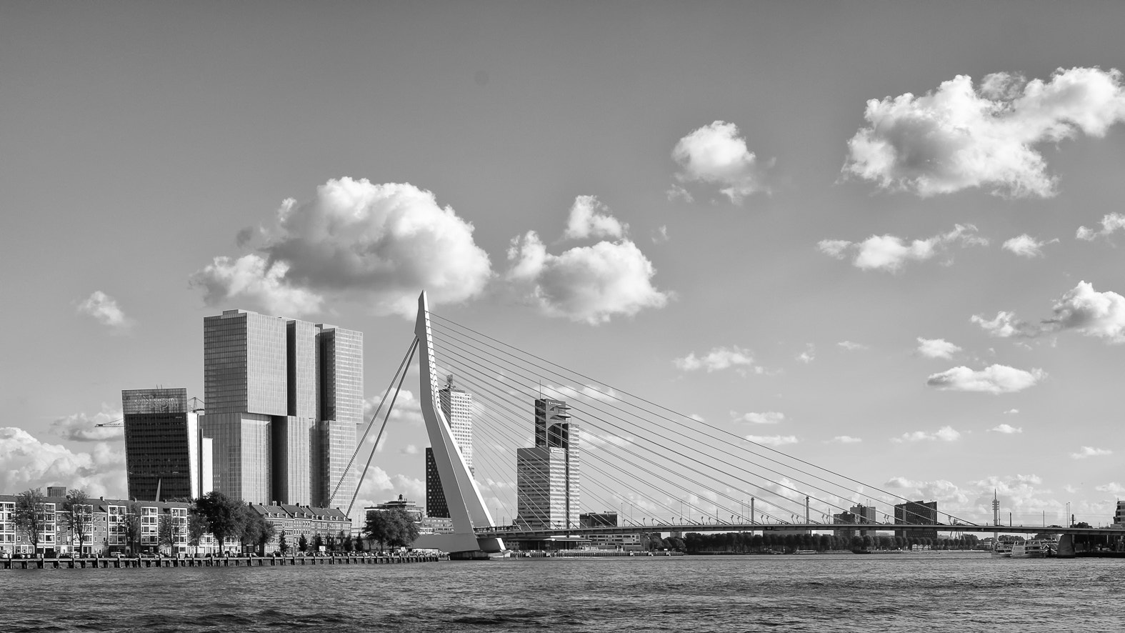 Fujifilm X-E1 + Fujifilm XF 27mm F2.8 sample photo. Erasmus bridge photography